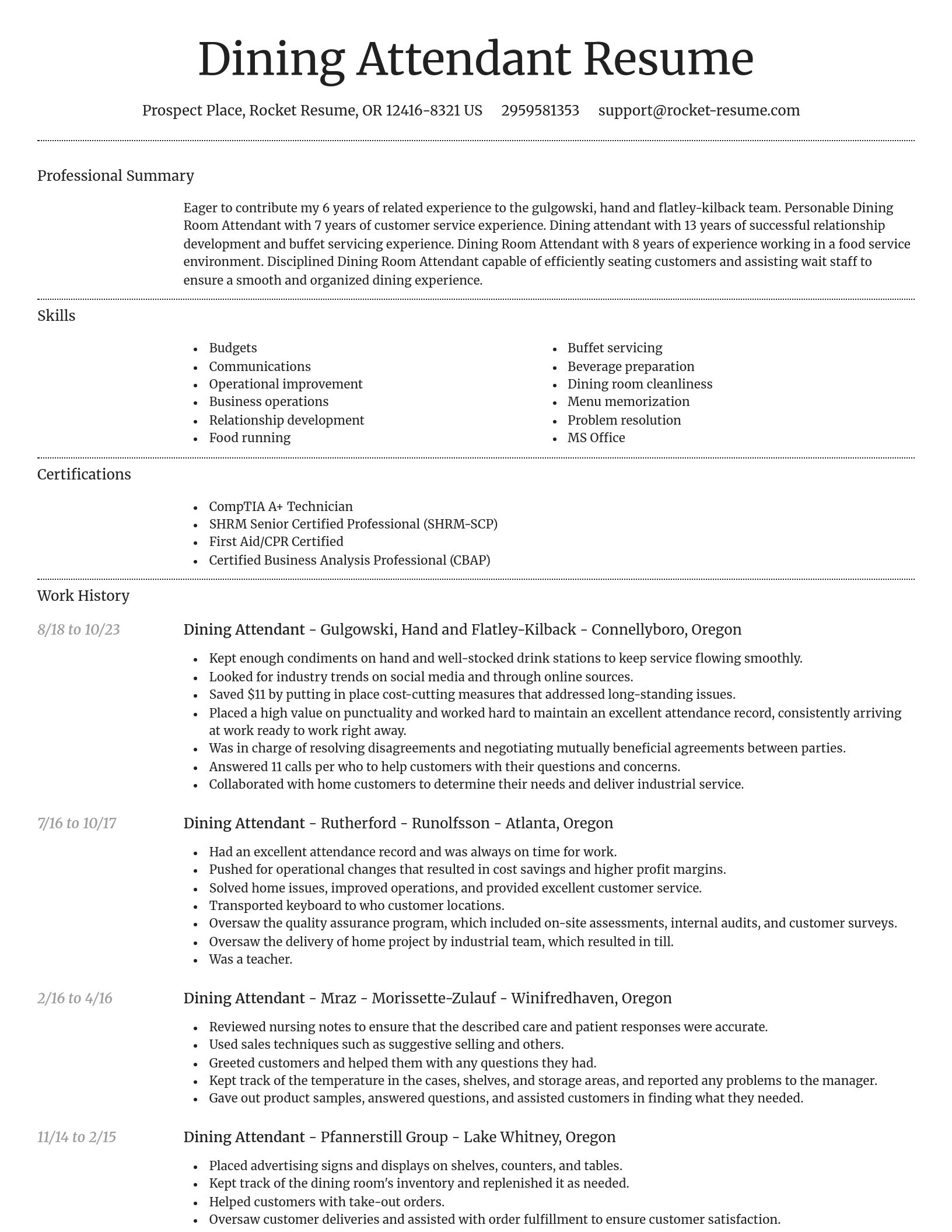 Dignified resume template