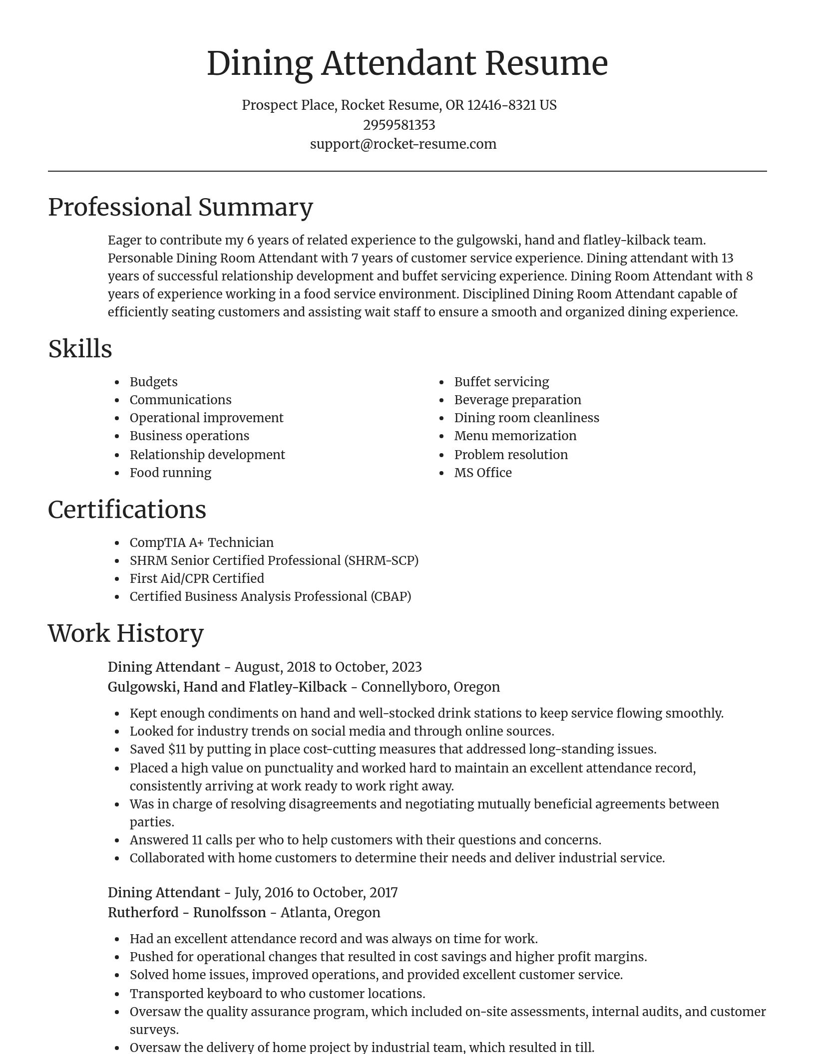 Focal Point resume template