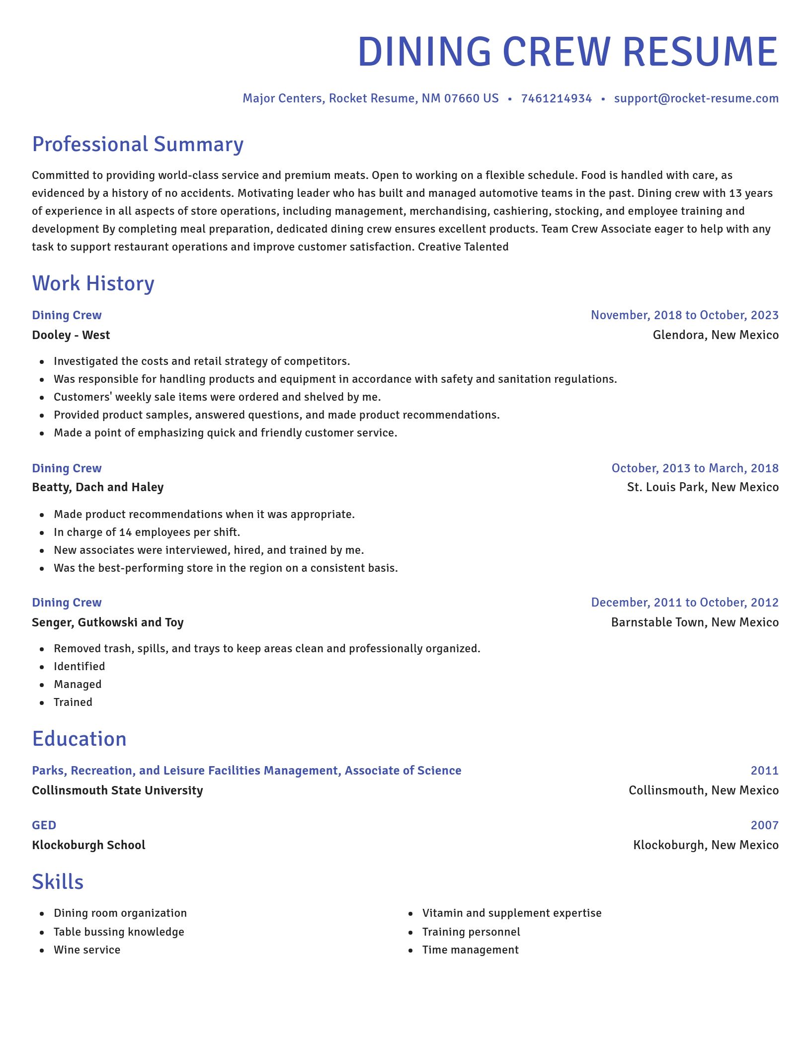 Novel resume template
