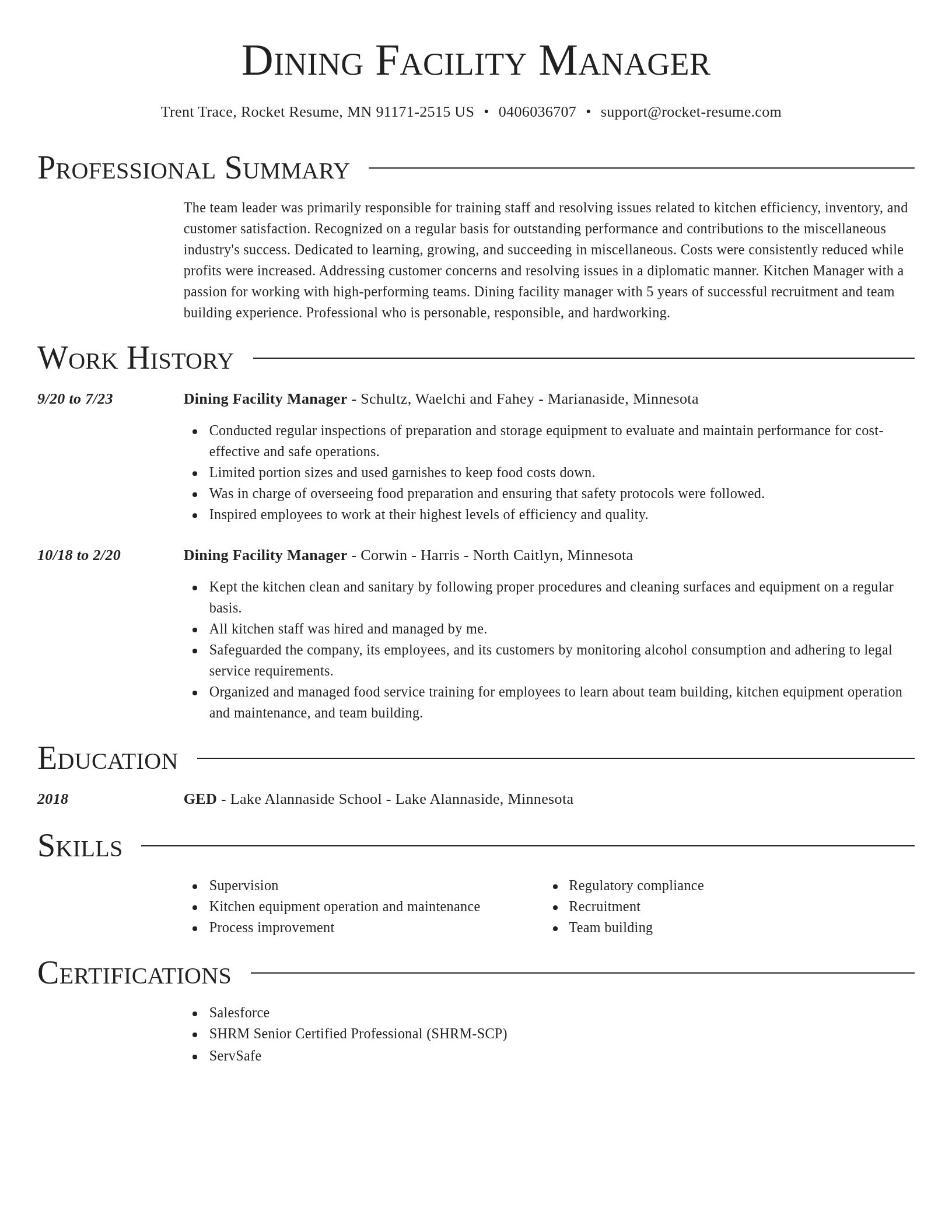 Director resume template