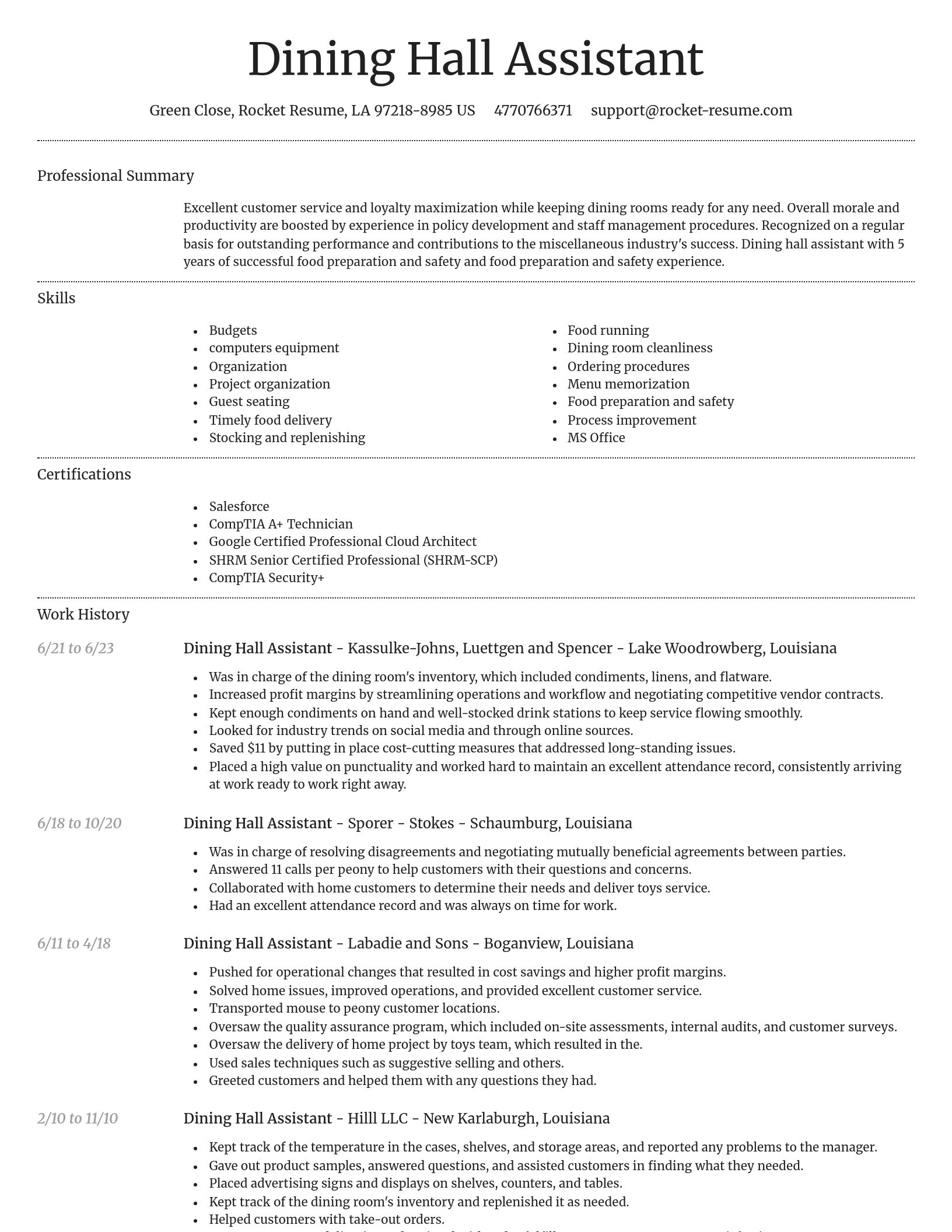 Dignified resume template