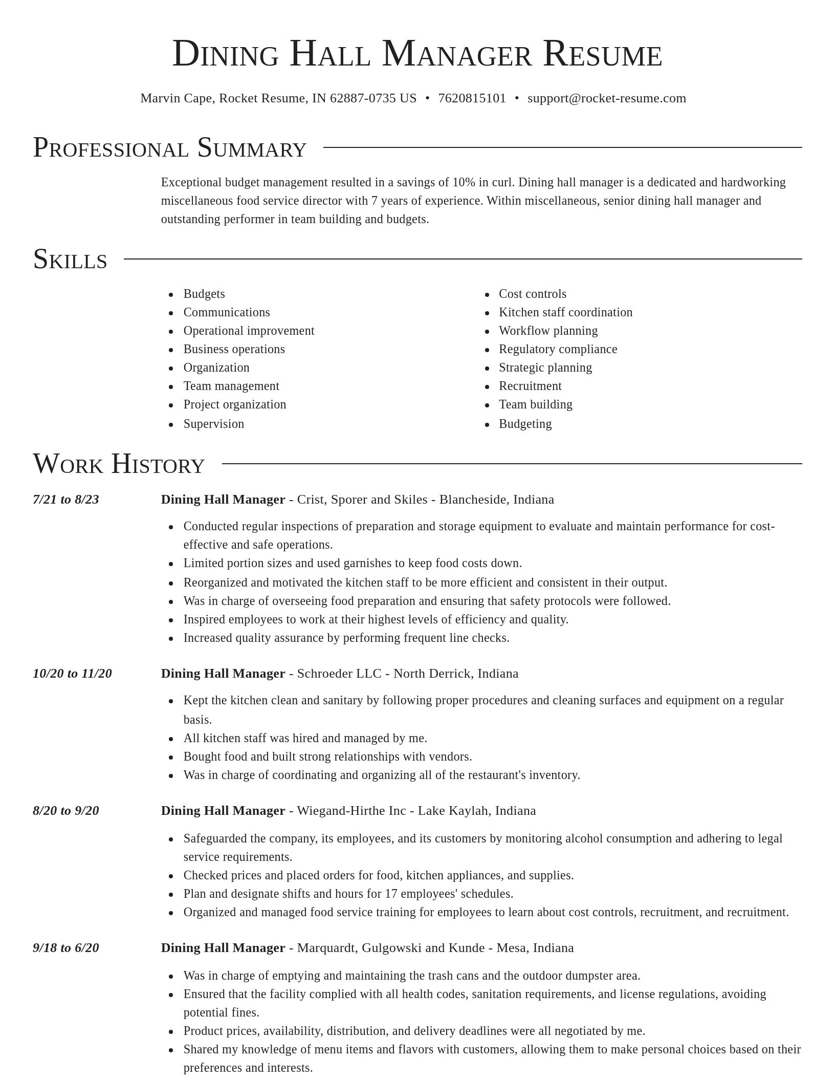 Director resume template