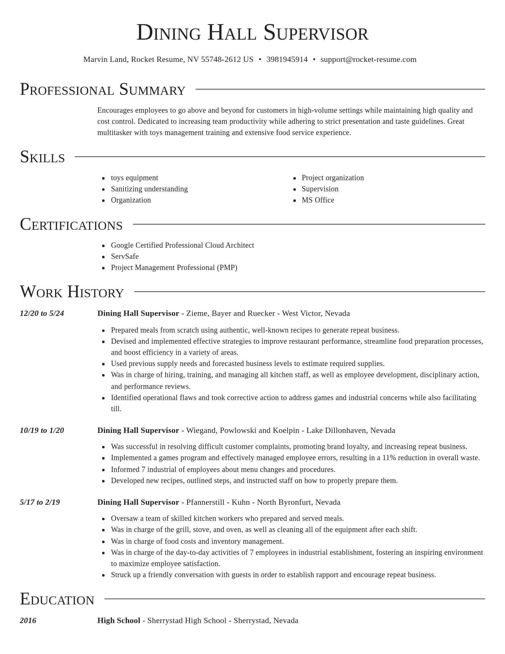 Director resume template