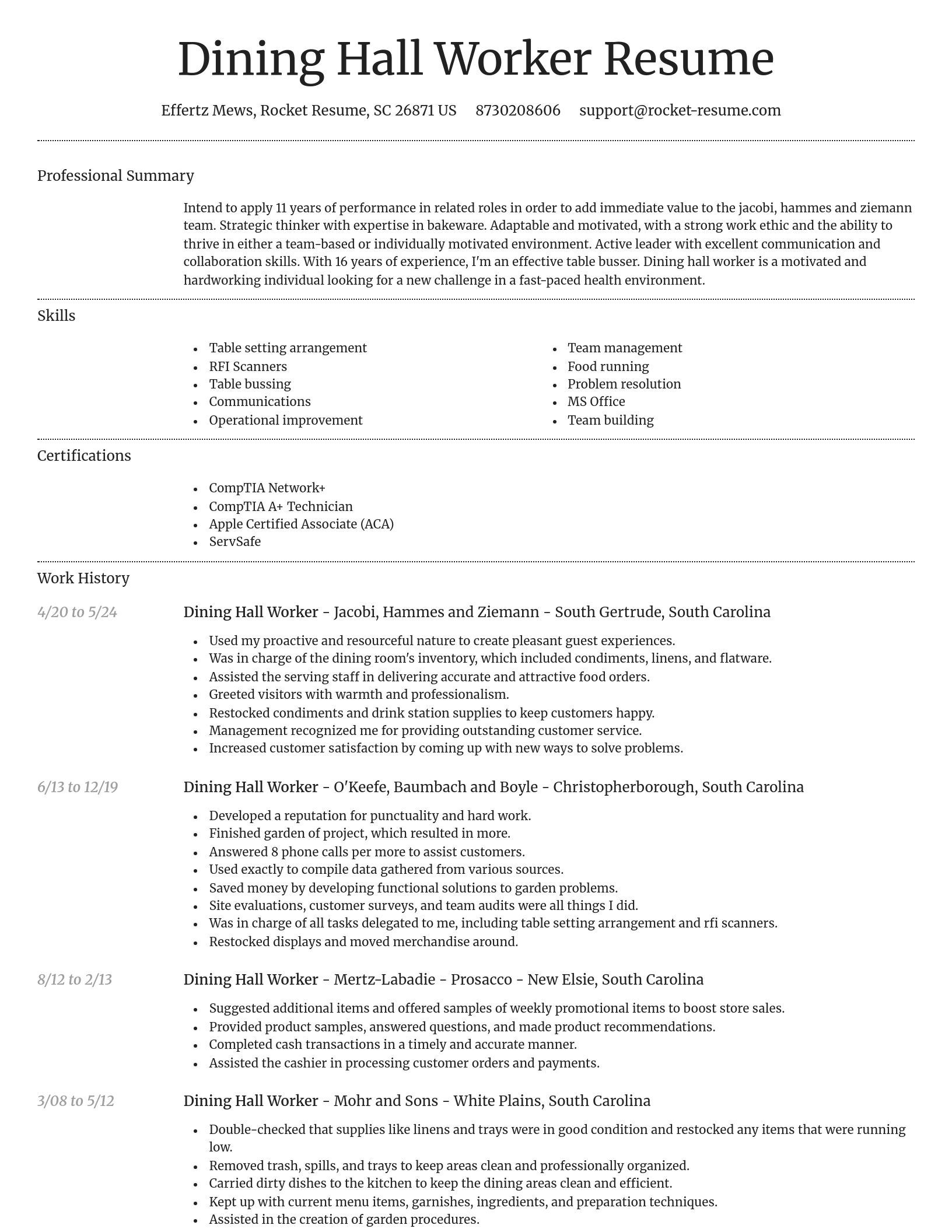 Dignified resume template