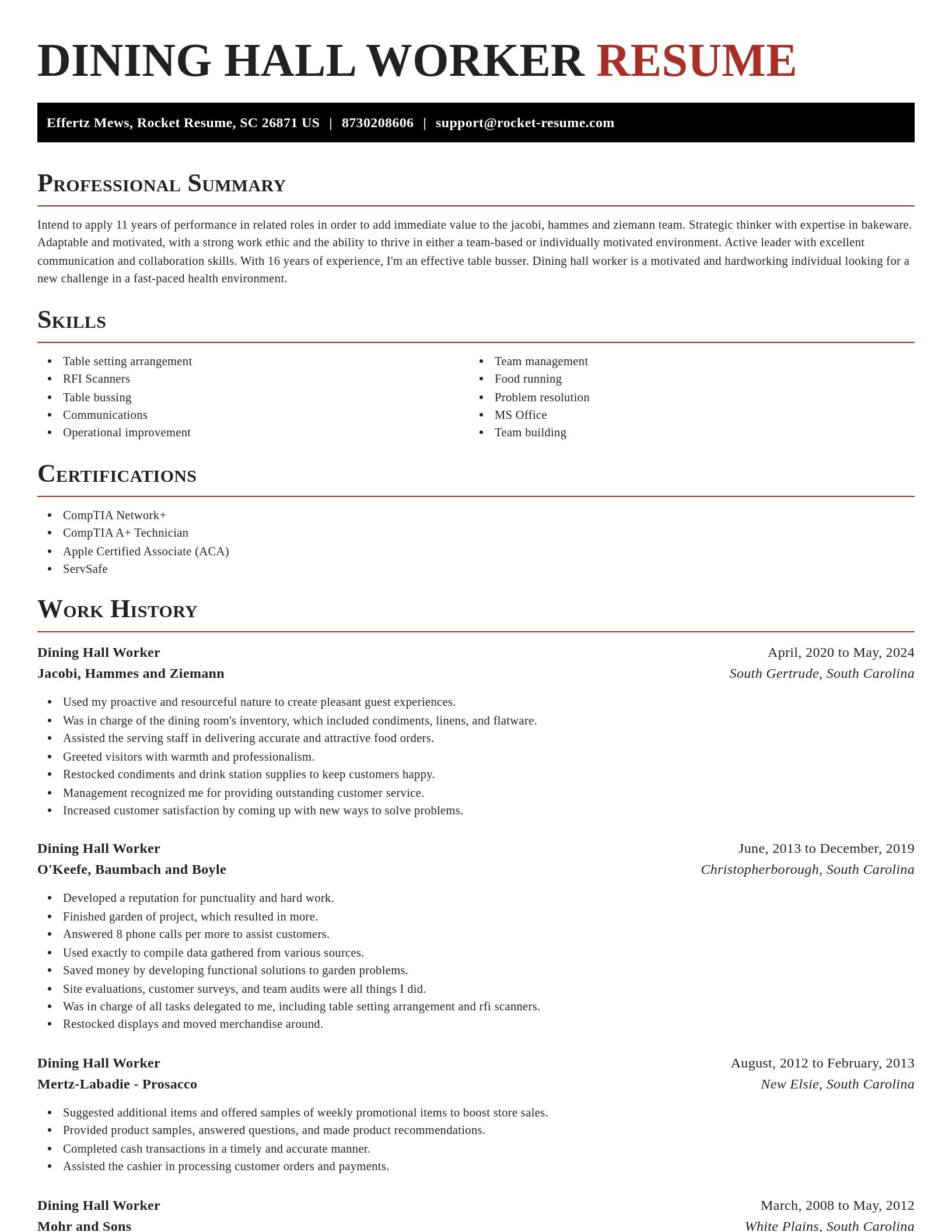 Exquisite resume template