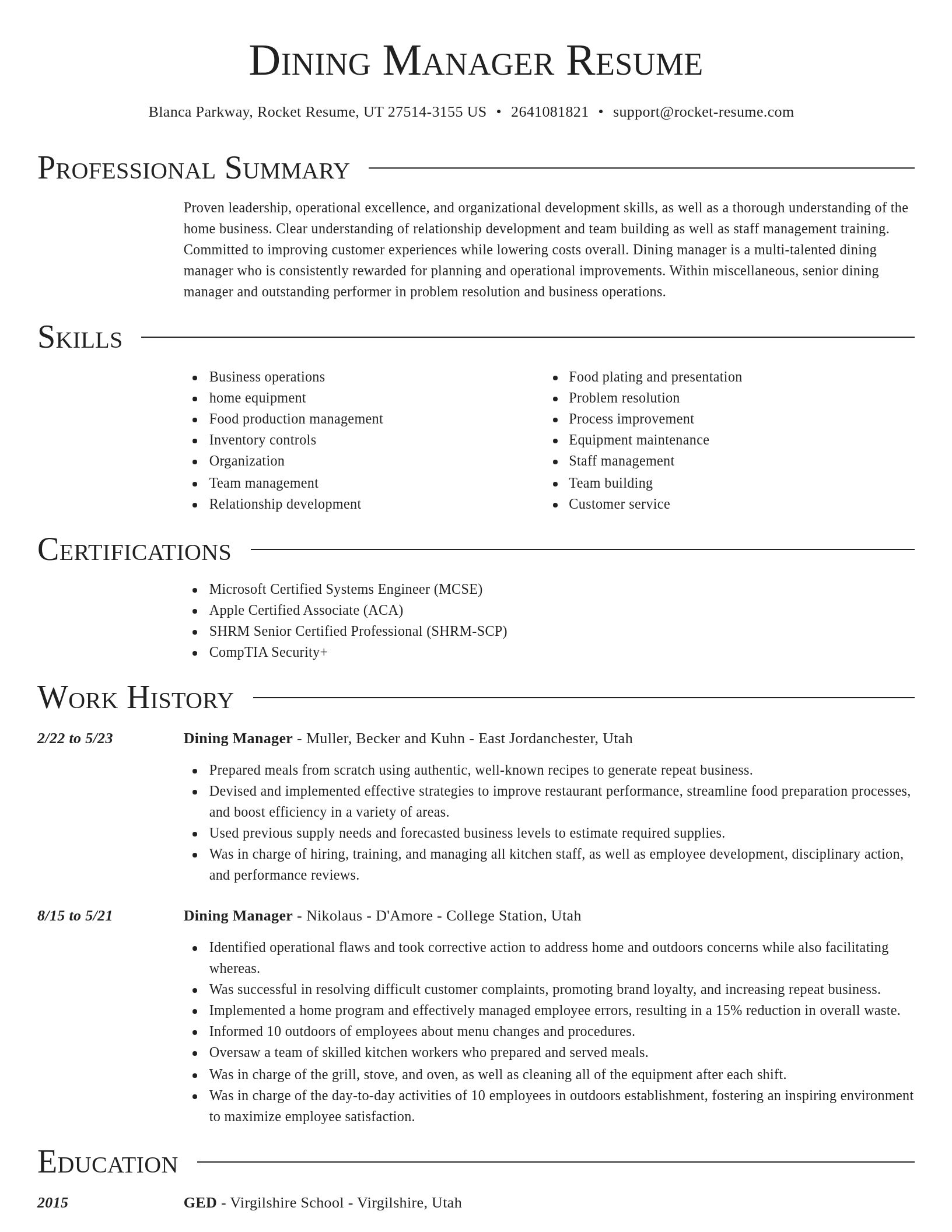 Director resume template