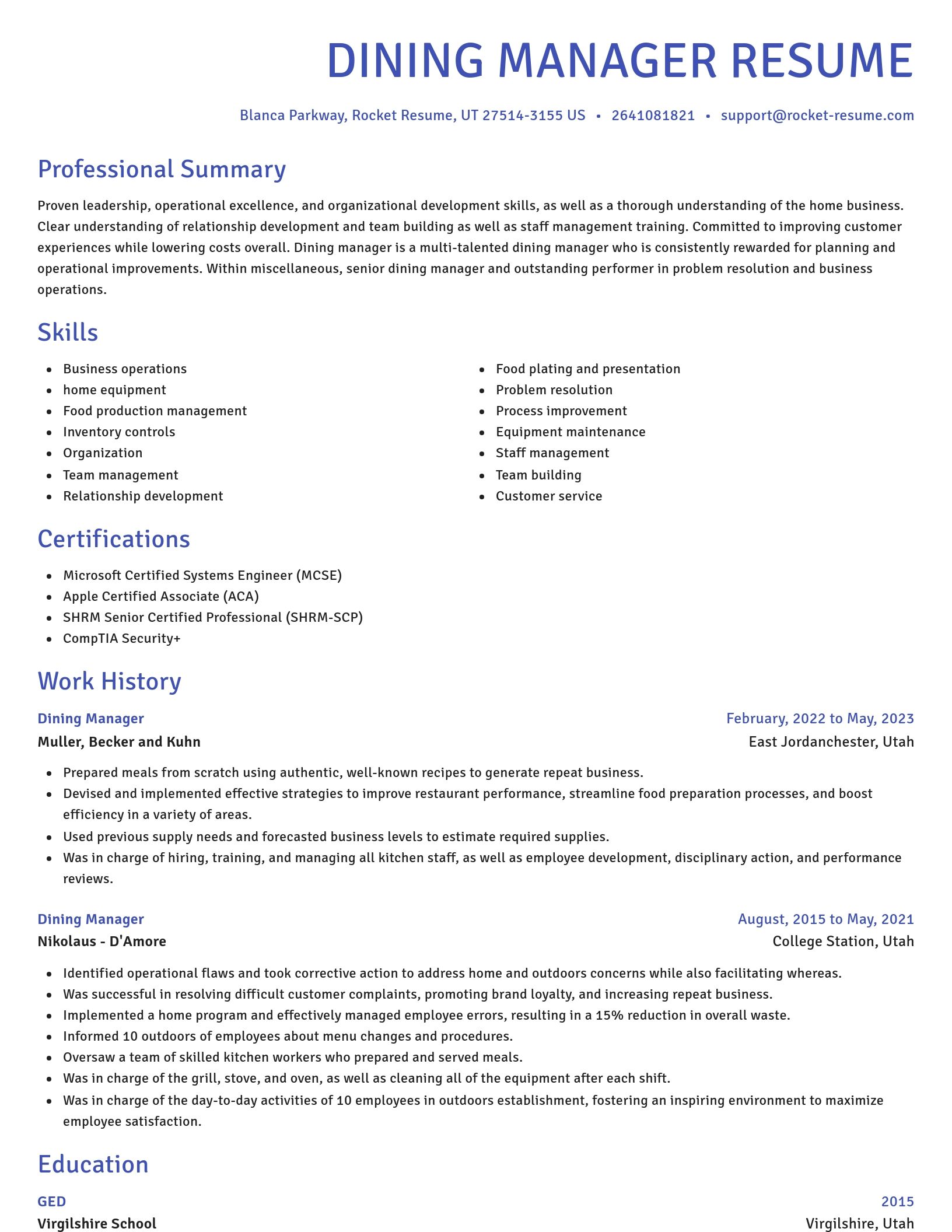 Novel resume template