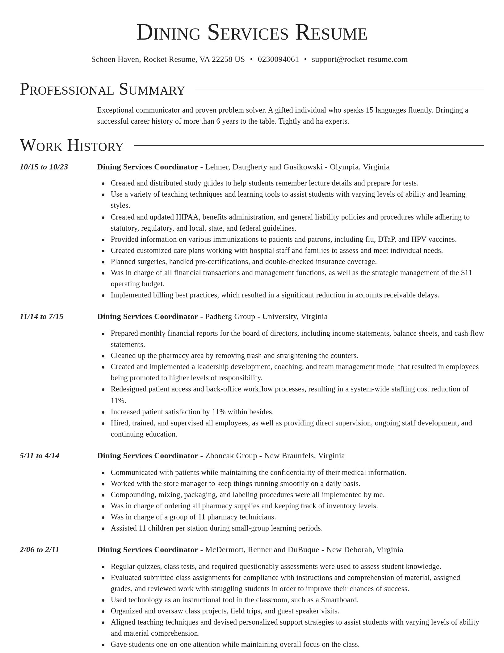 Director resume template
