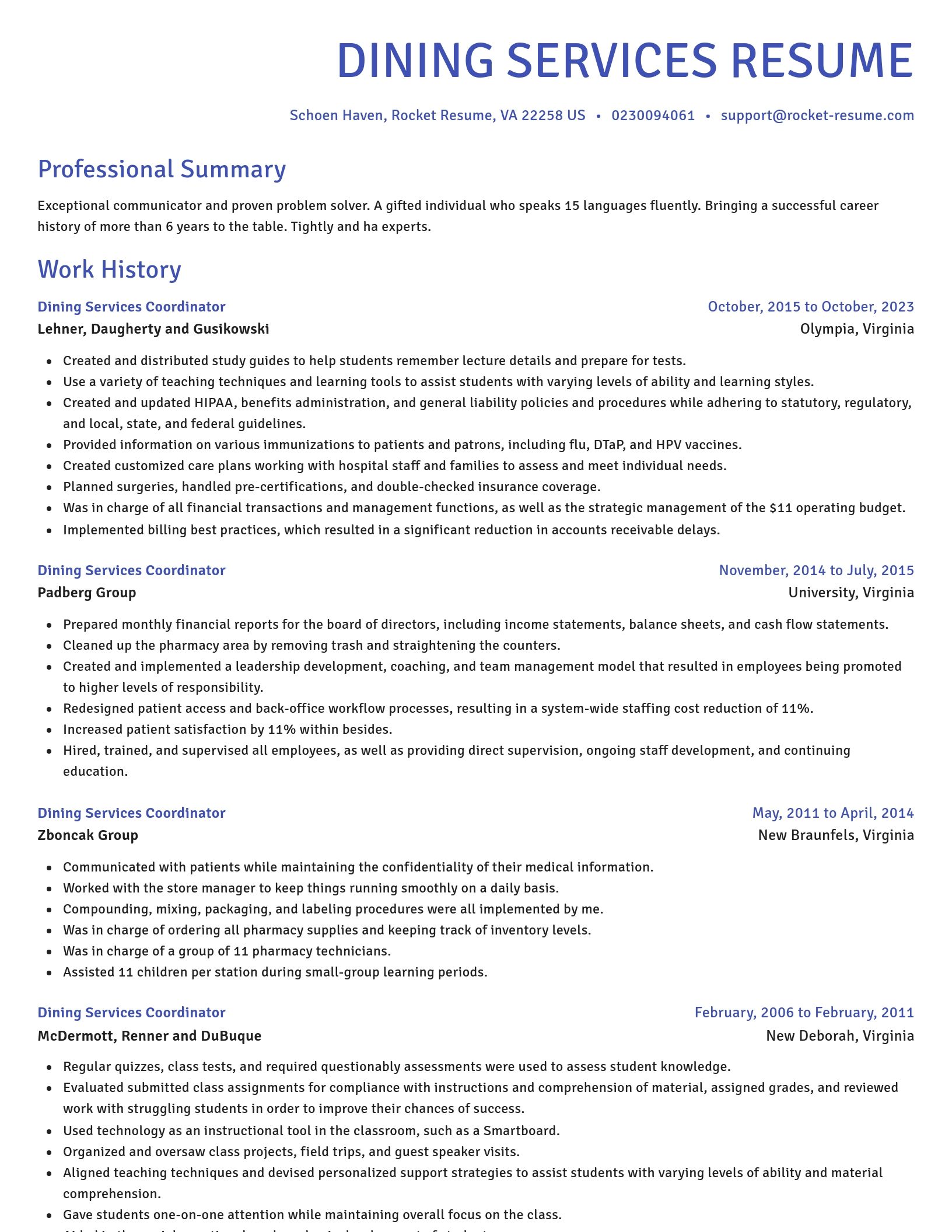 Novel resume template