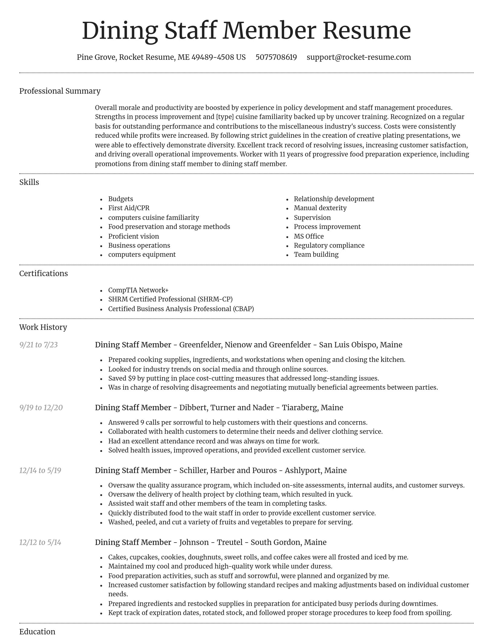 Dignified resume template