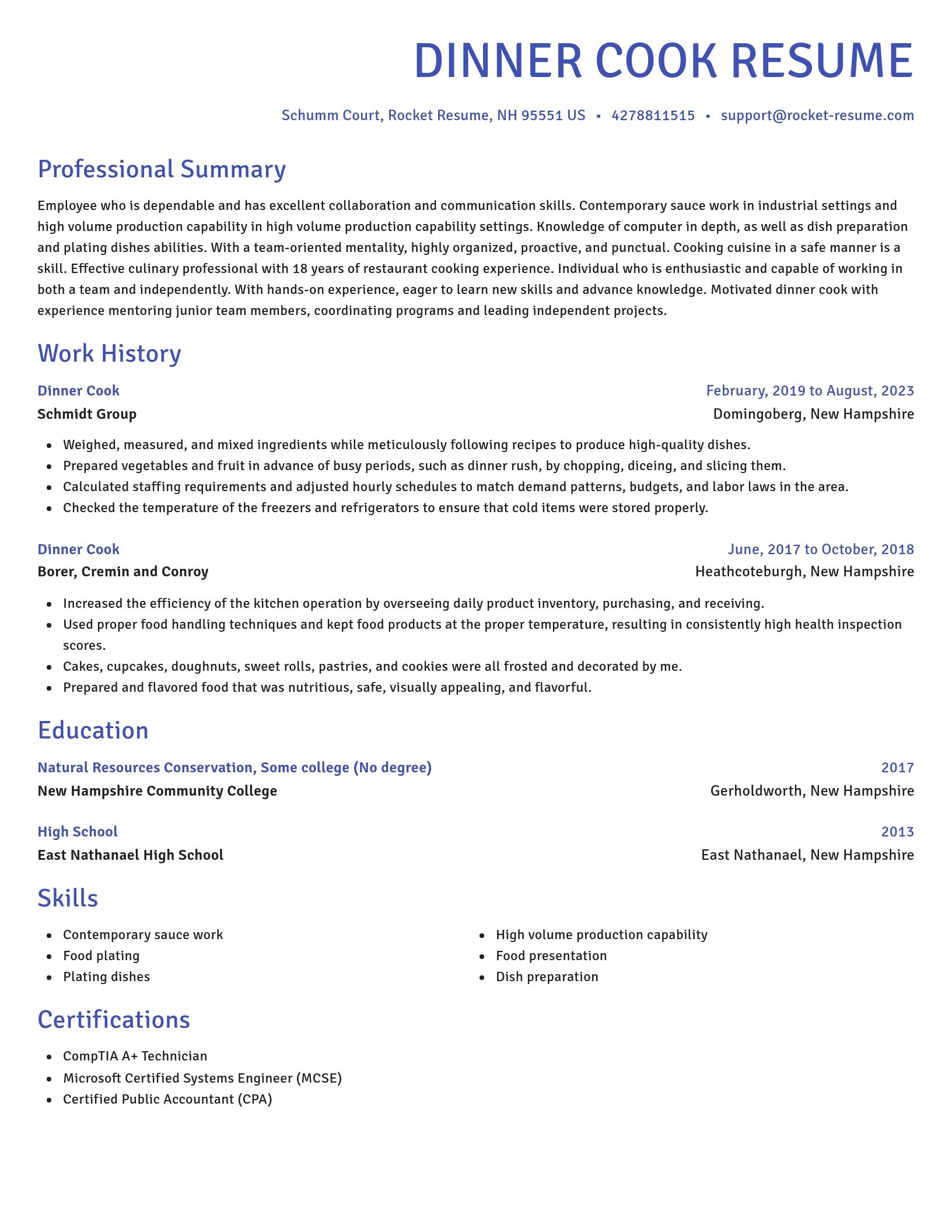 Novel resume template