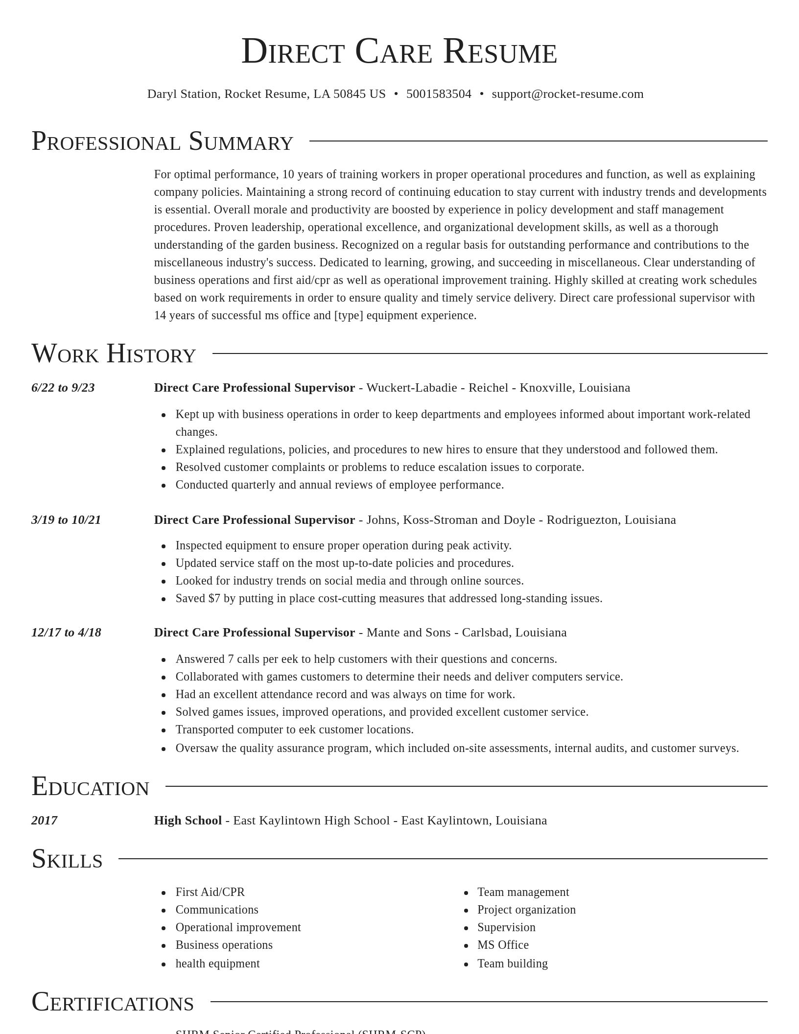 Director resume template