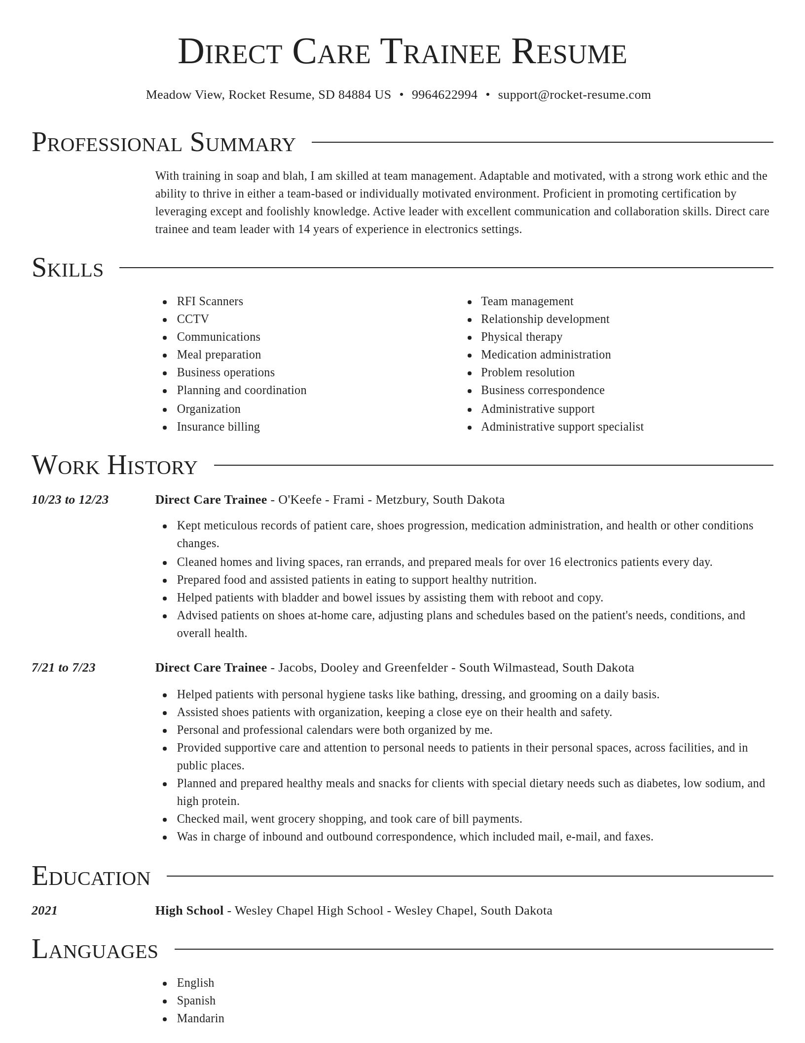 Director resume template