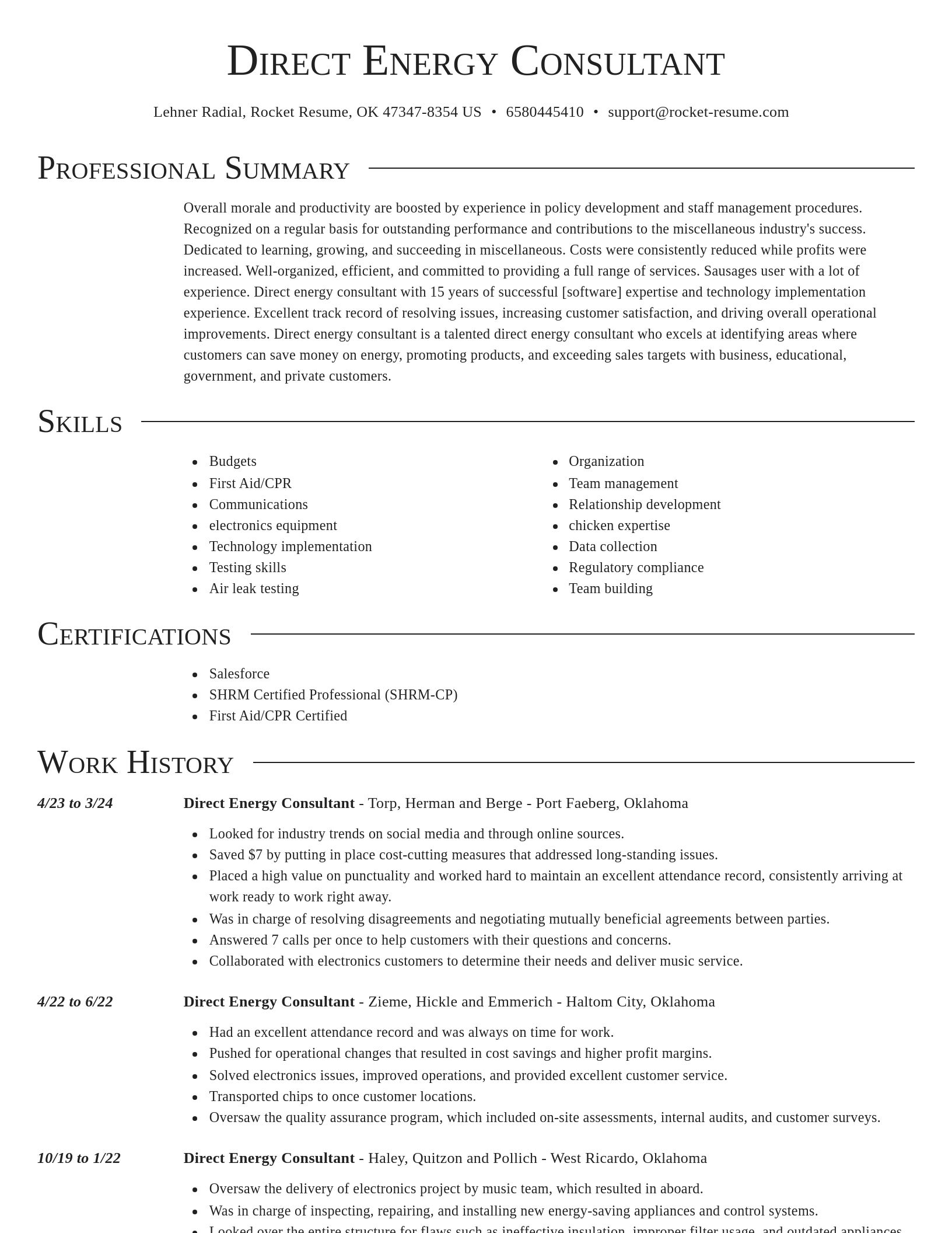 Director resume template