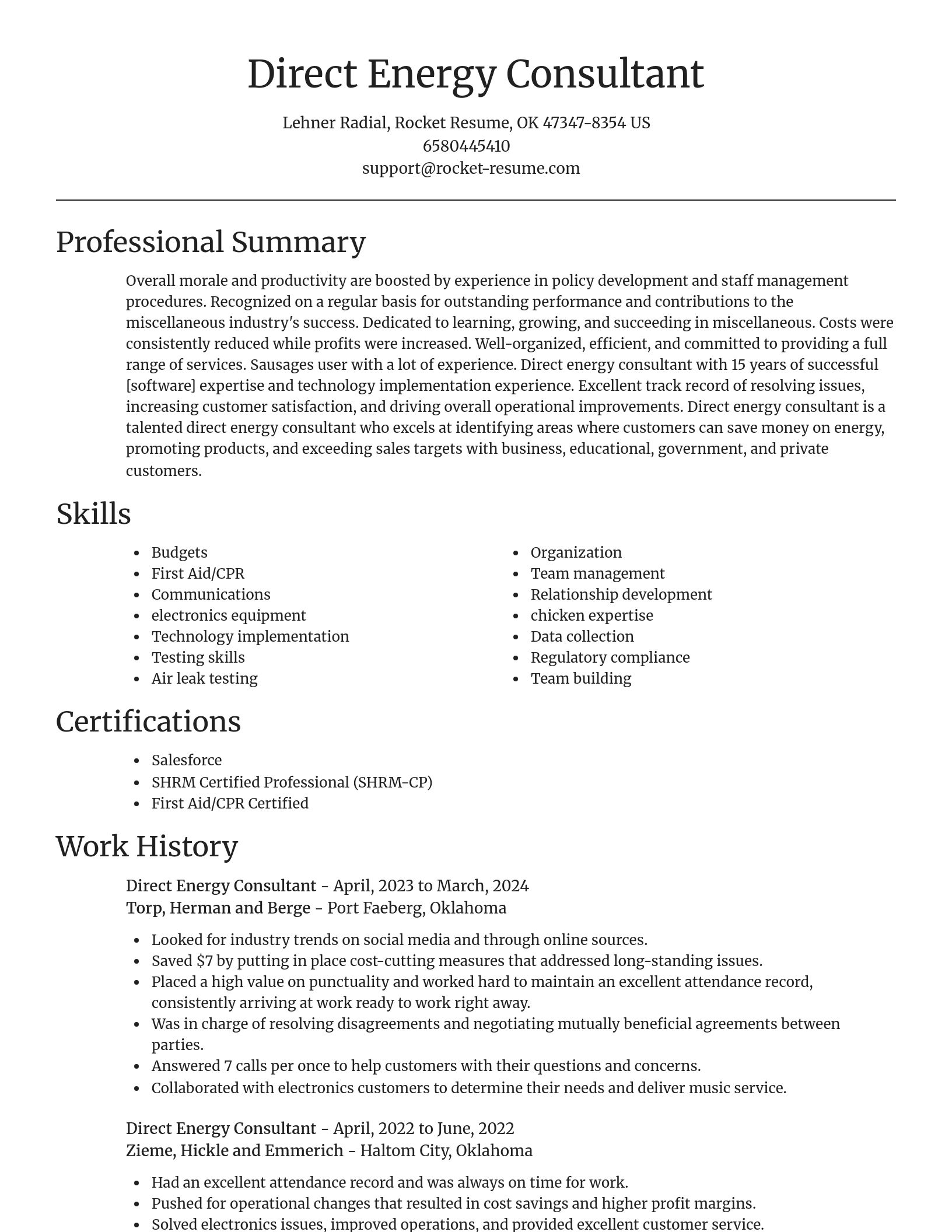 Focal Point resume template