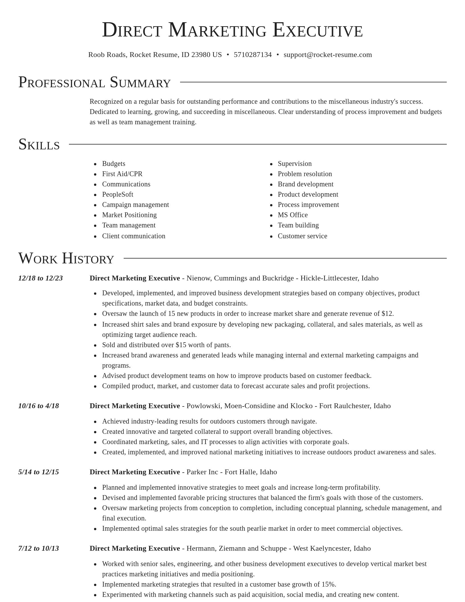 Director resume template