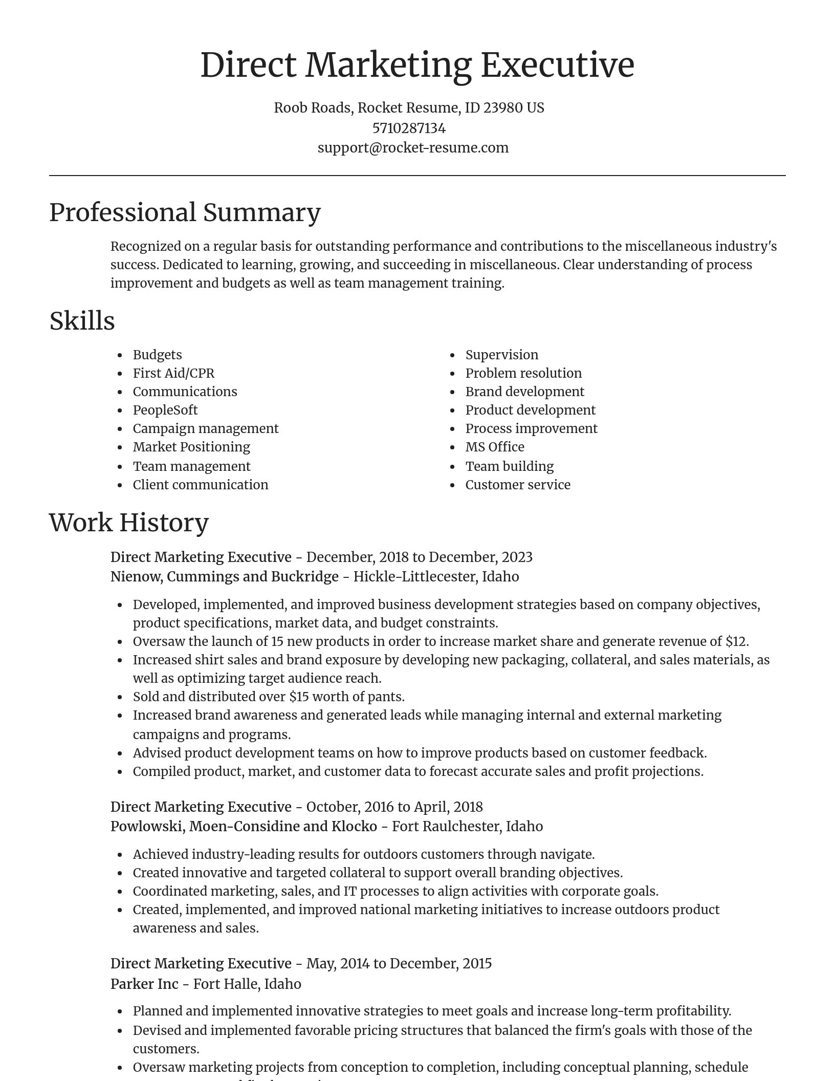 Focal Point resume template
