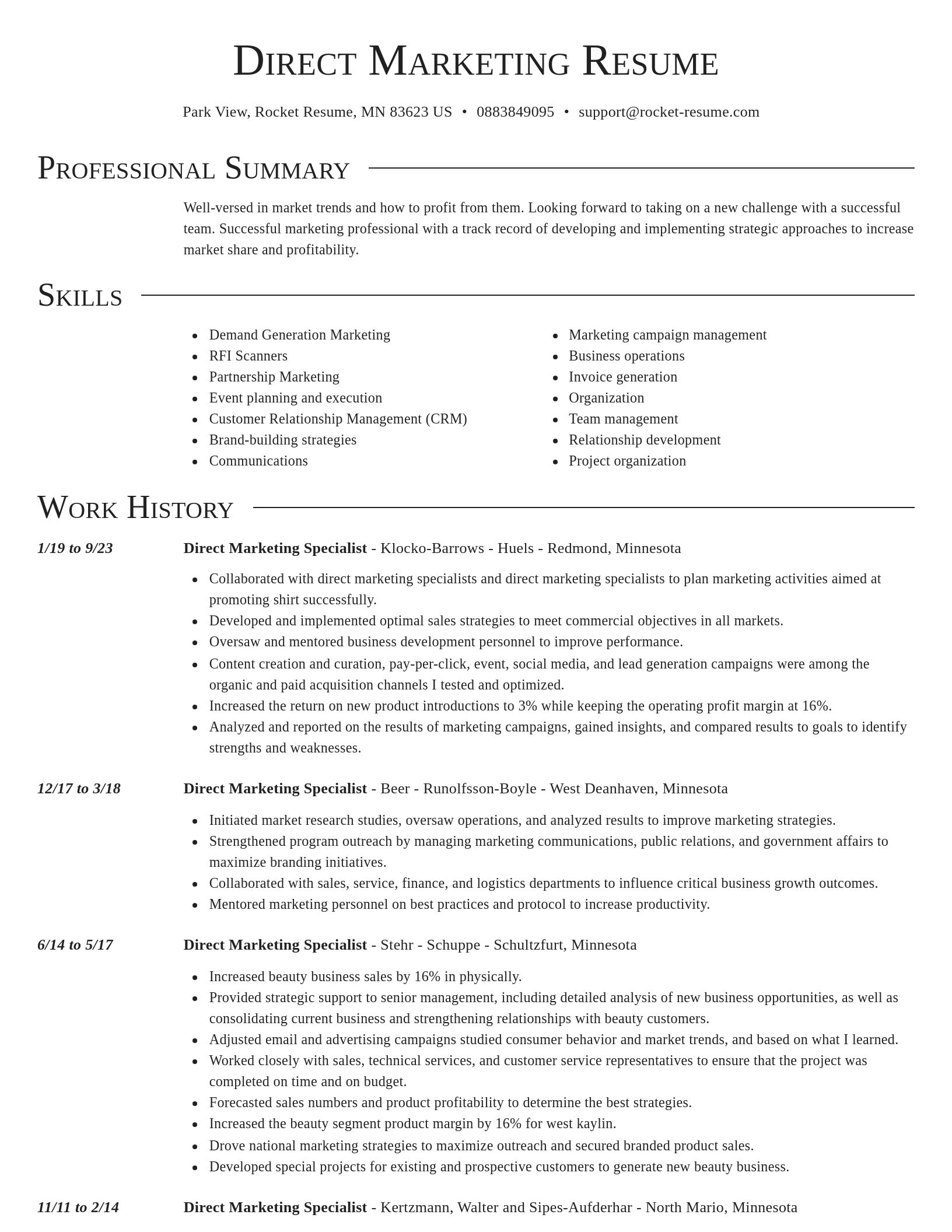 Director resume template