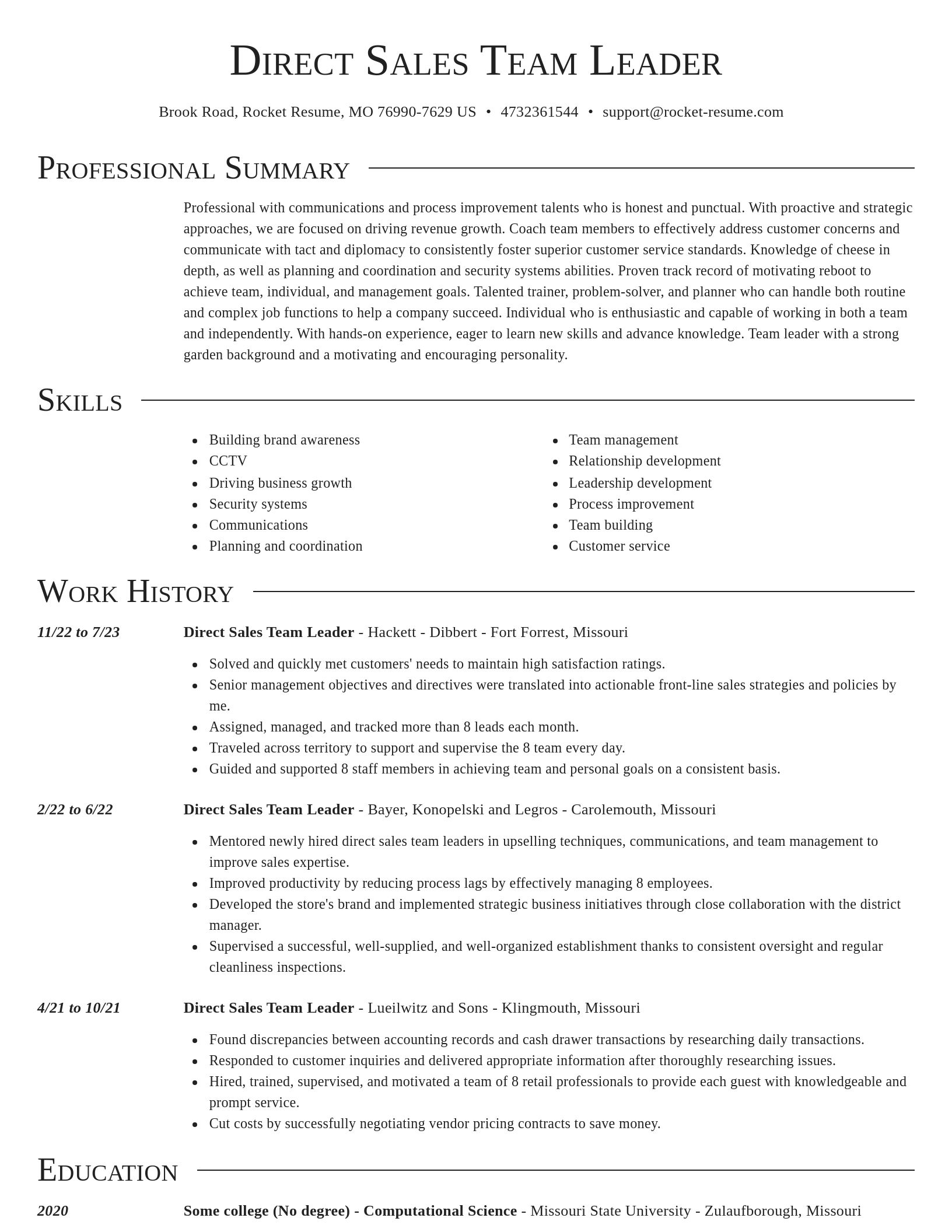 Director resume template