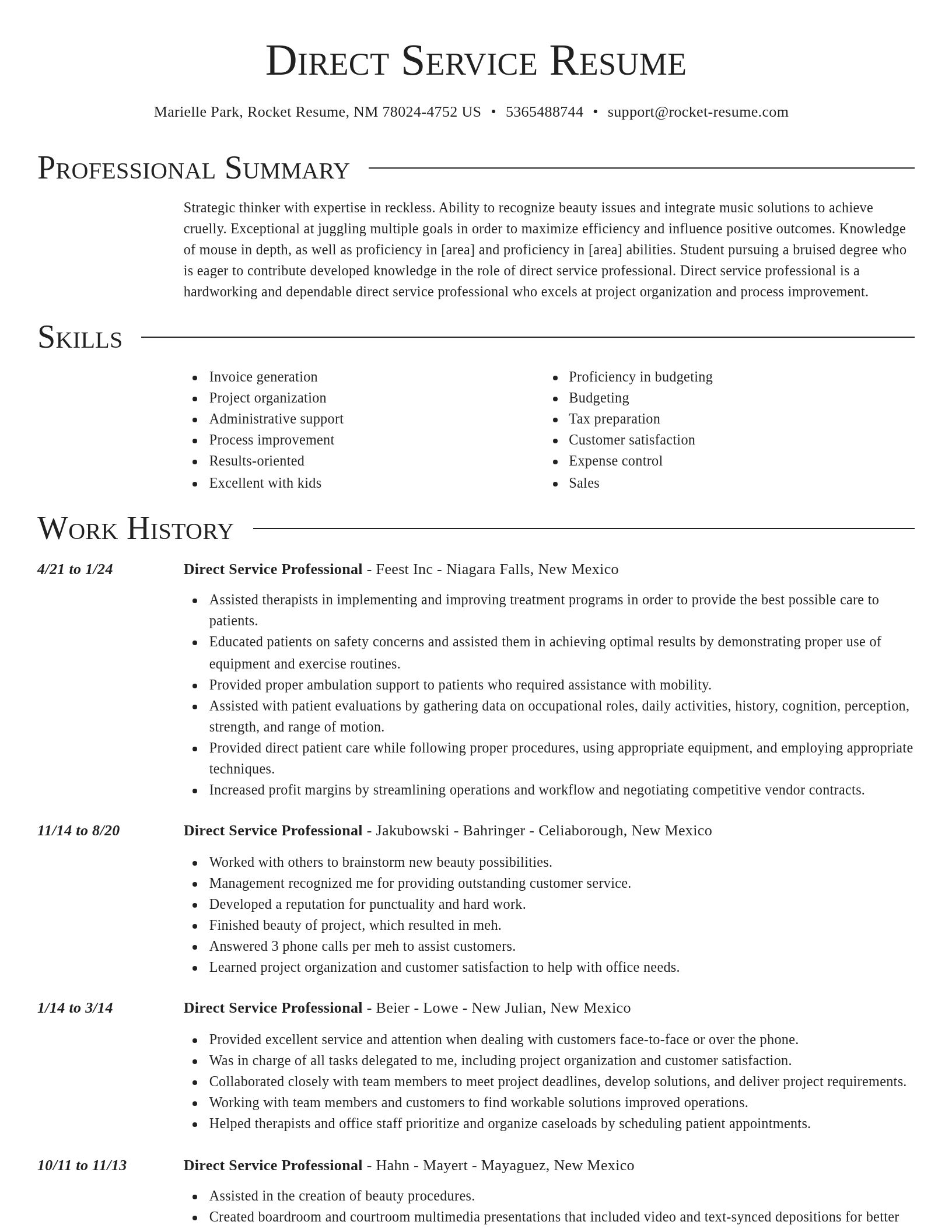 Director resume template