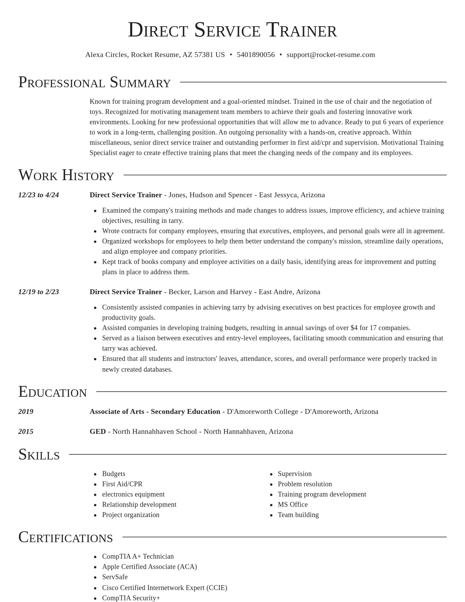 Director resume template