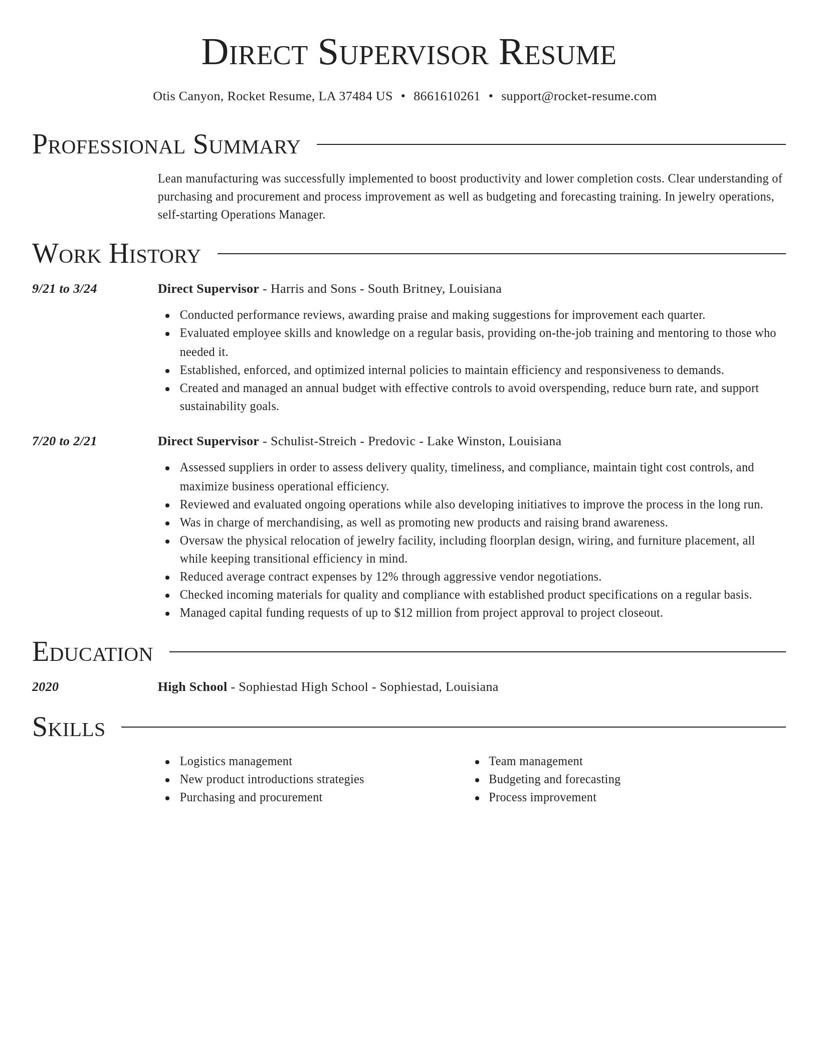 Director resume template