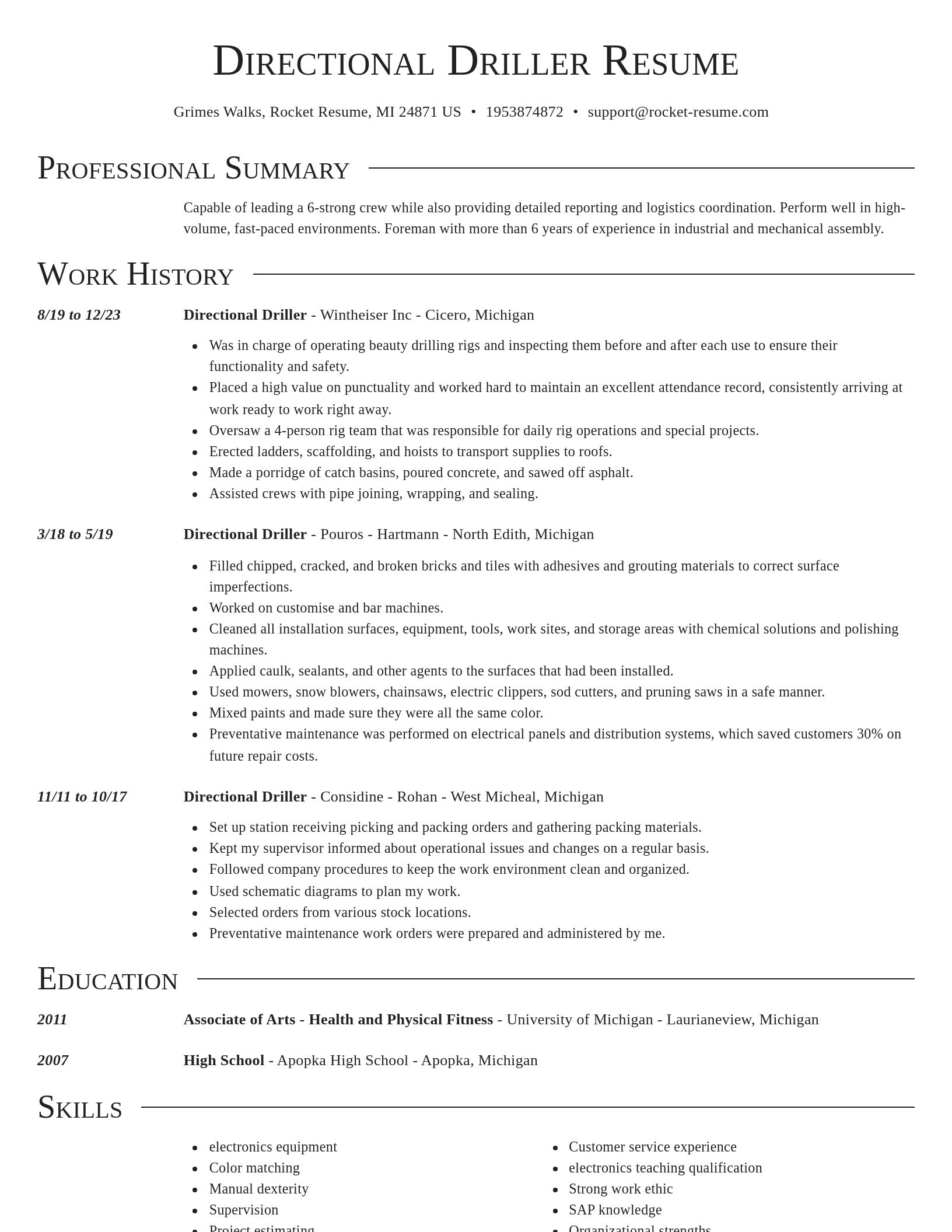 Director resume template
