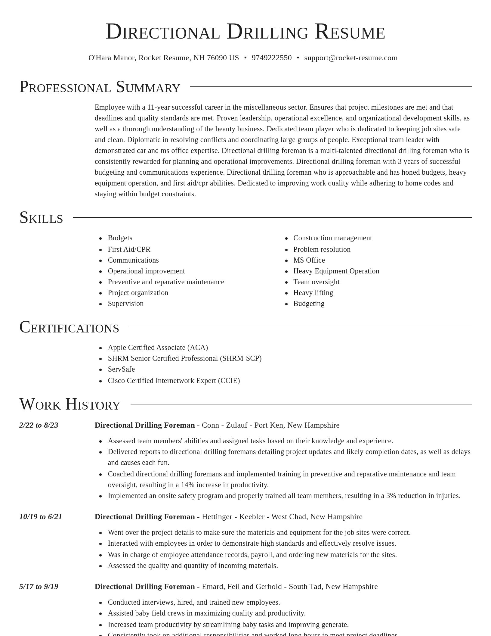 Director resume template