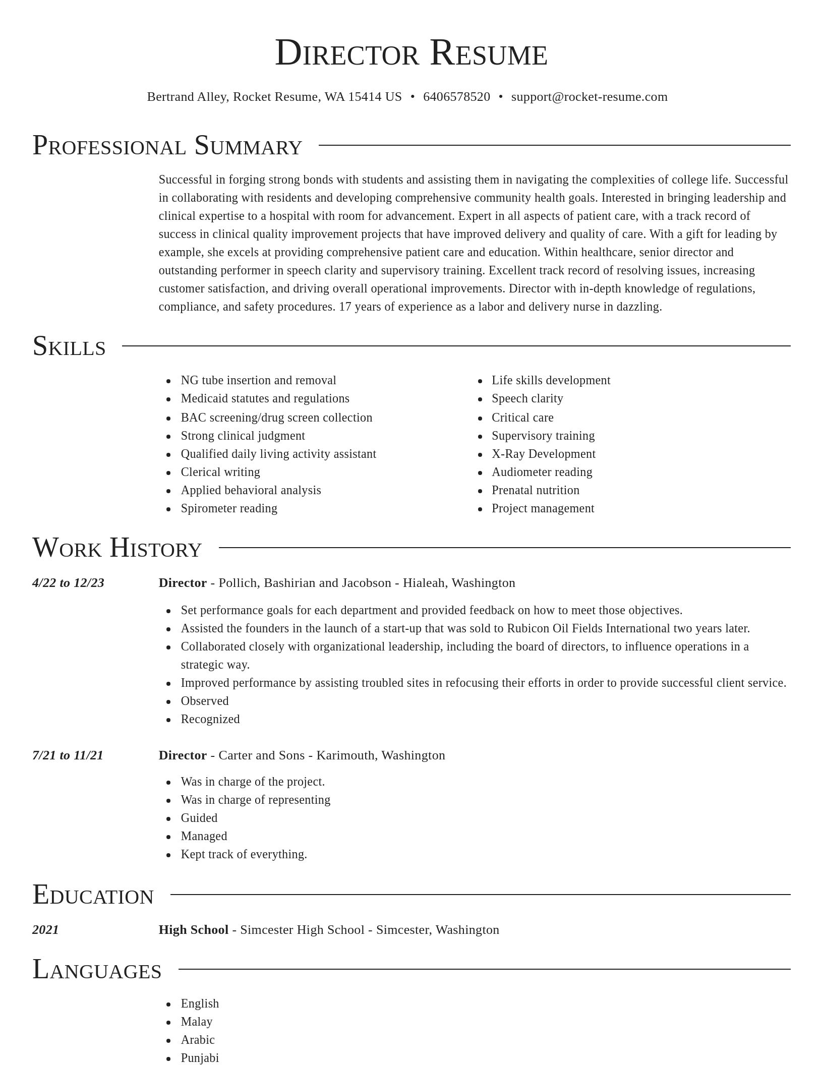 Director resume template