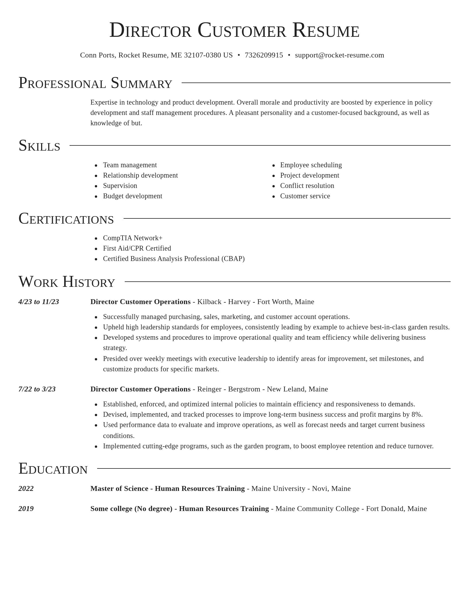 Director resume template