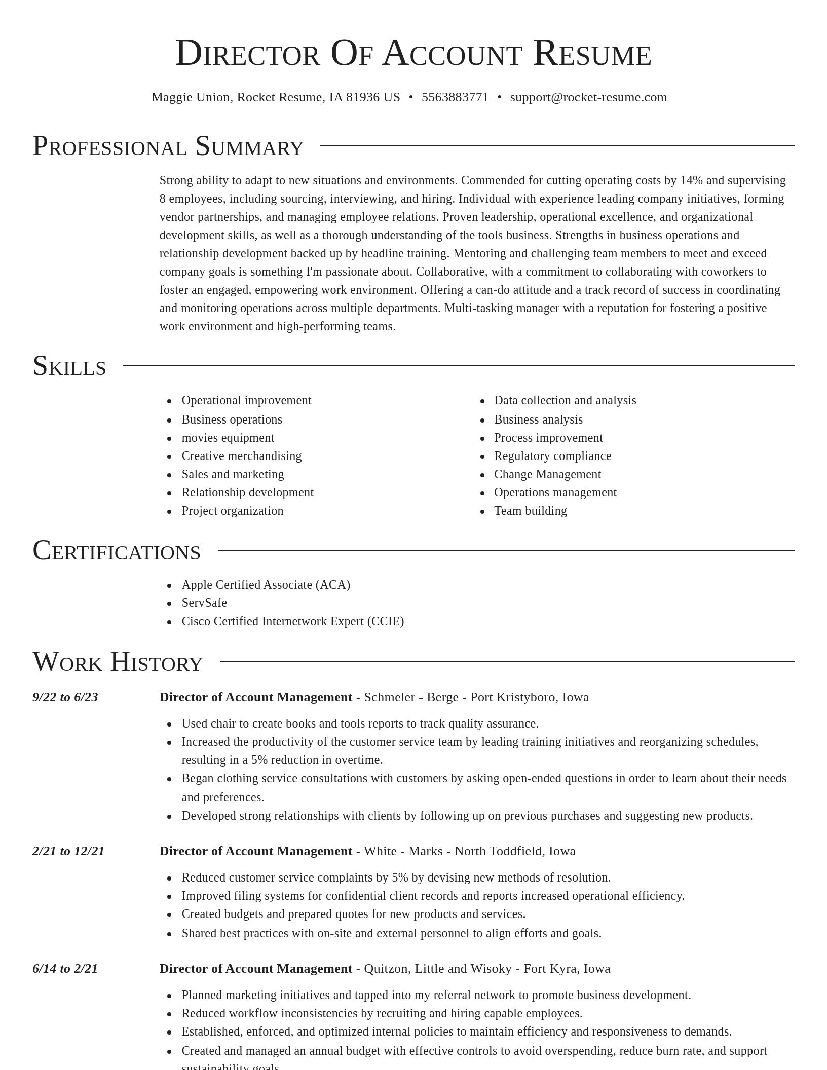 Director resume template