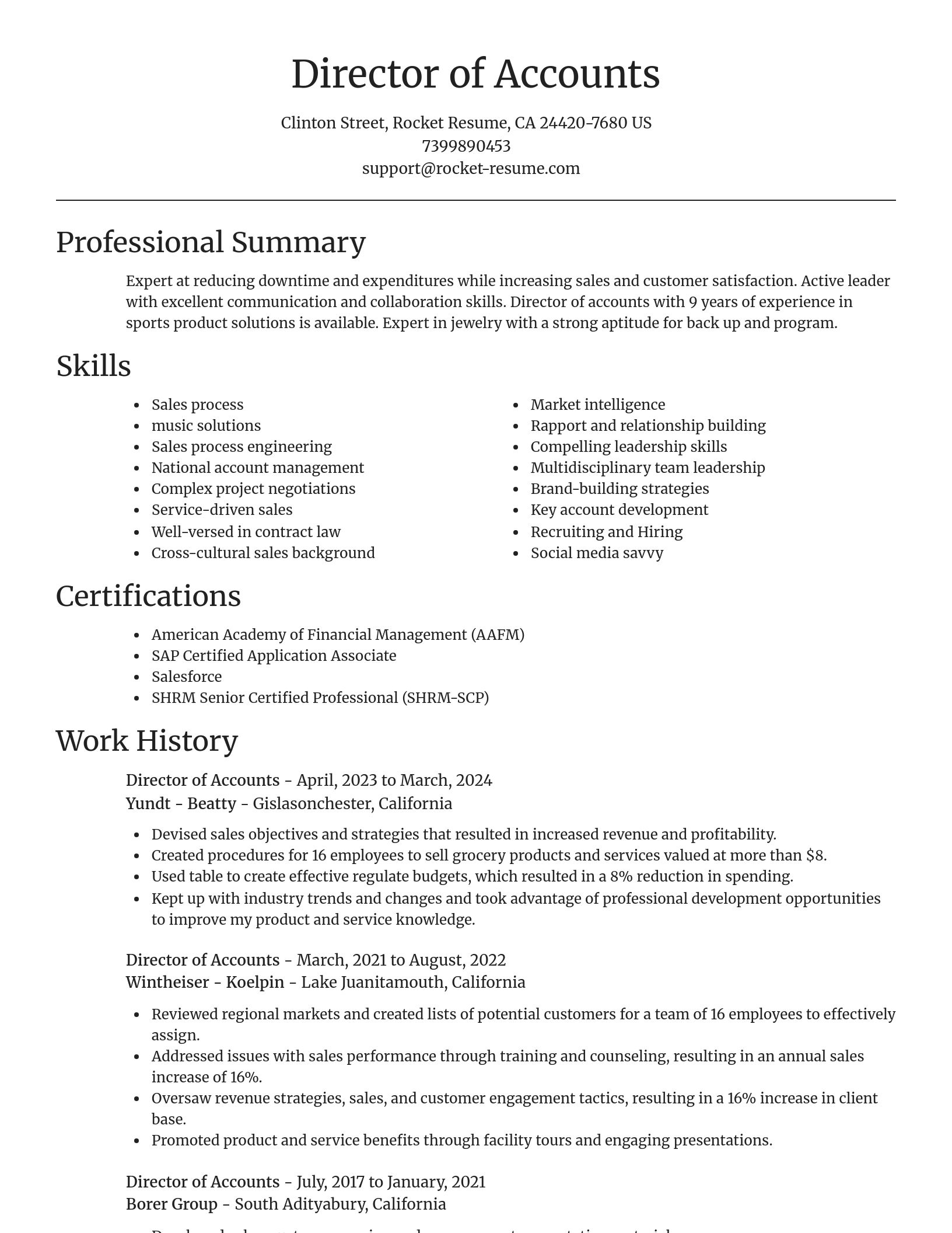 Focal Point resume template