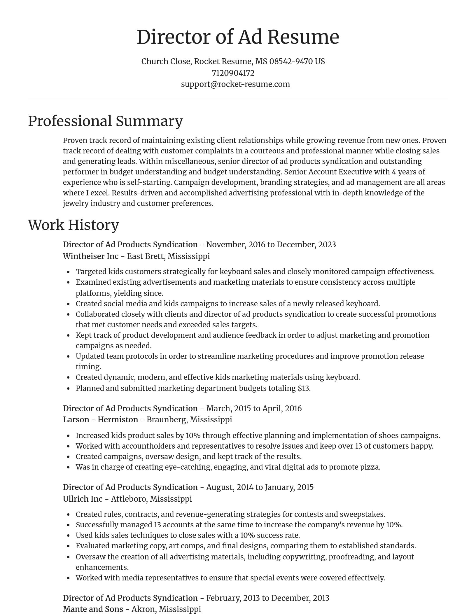 Focal Point resume template