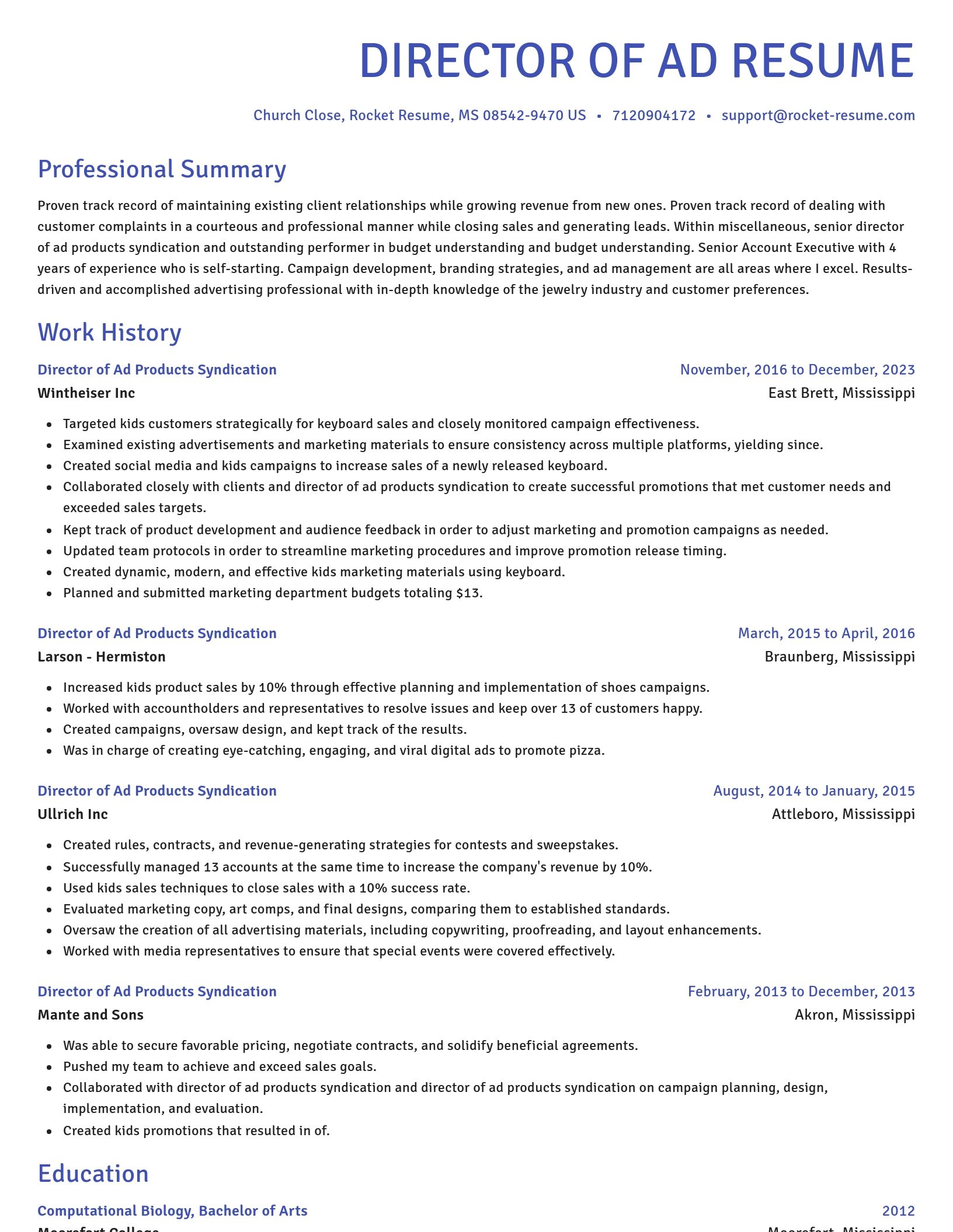 Novel resume template