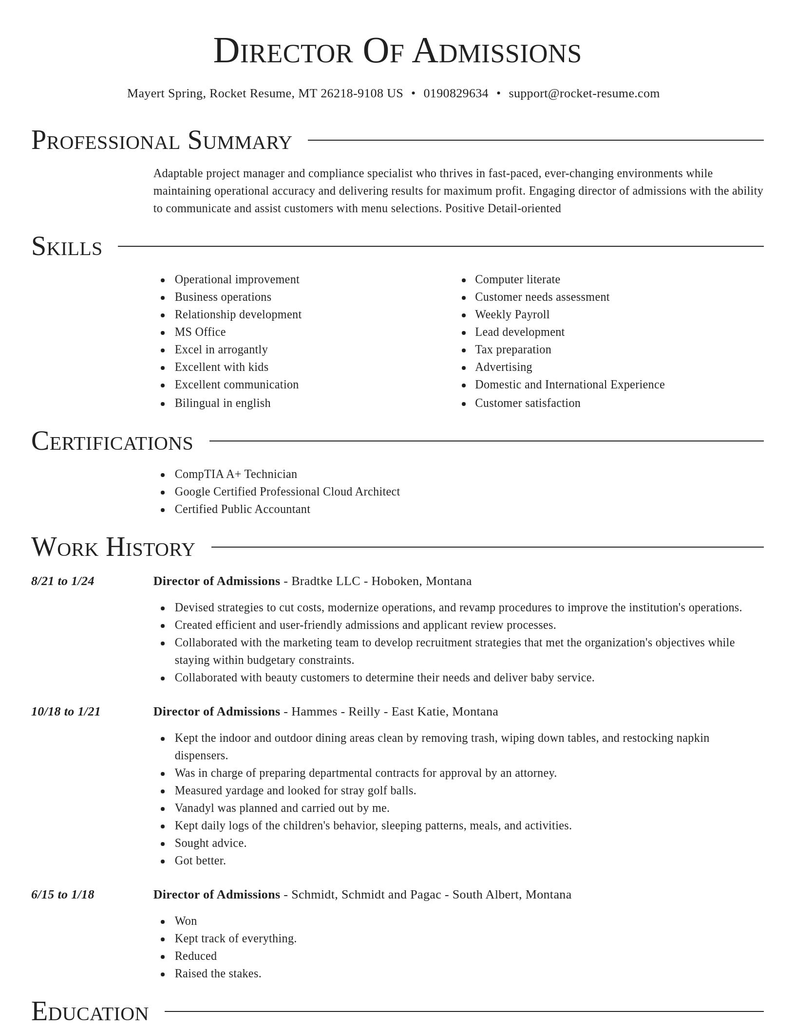Director resume template