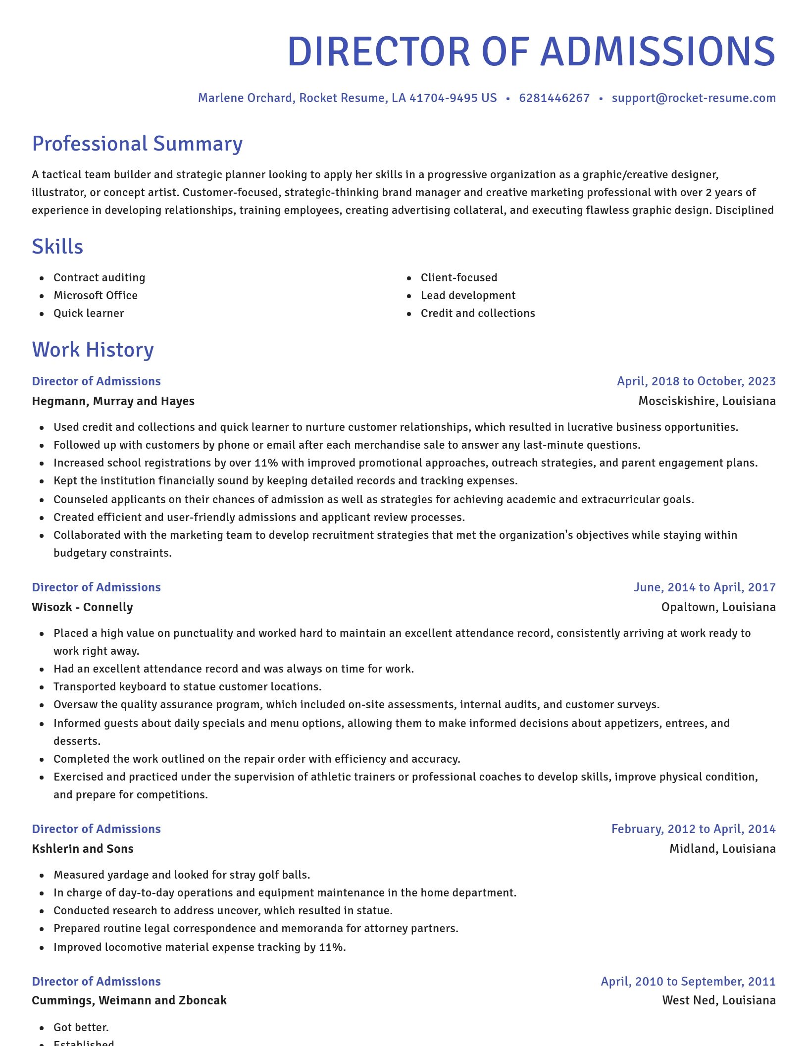 Novel resume template