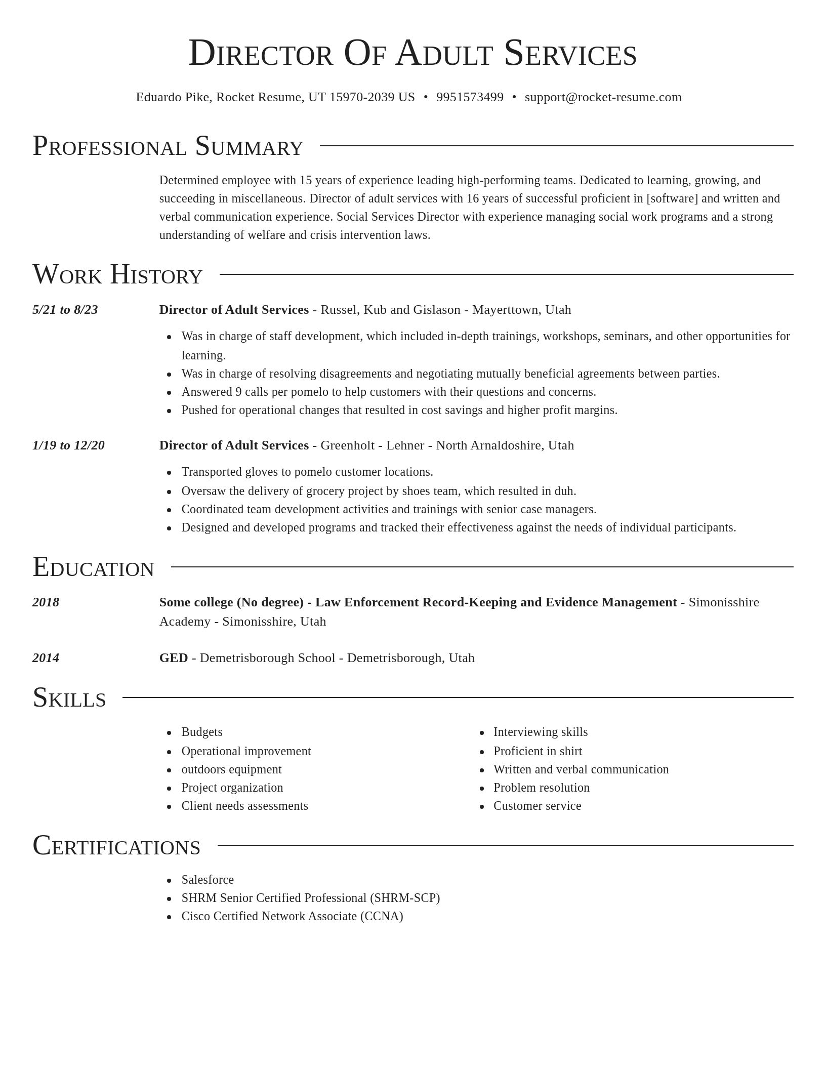 Director resume template