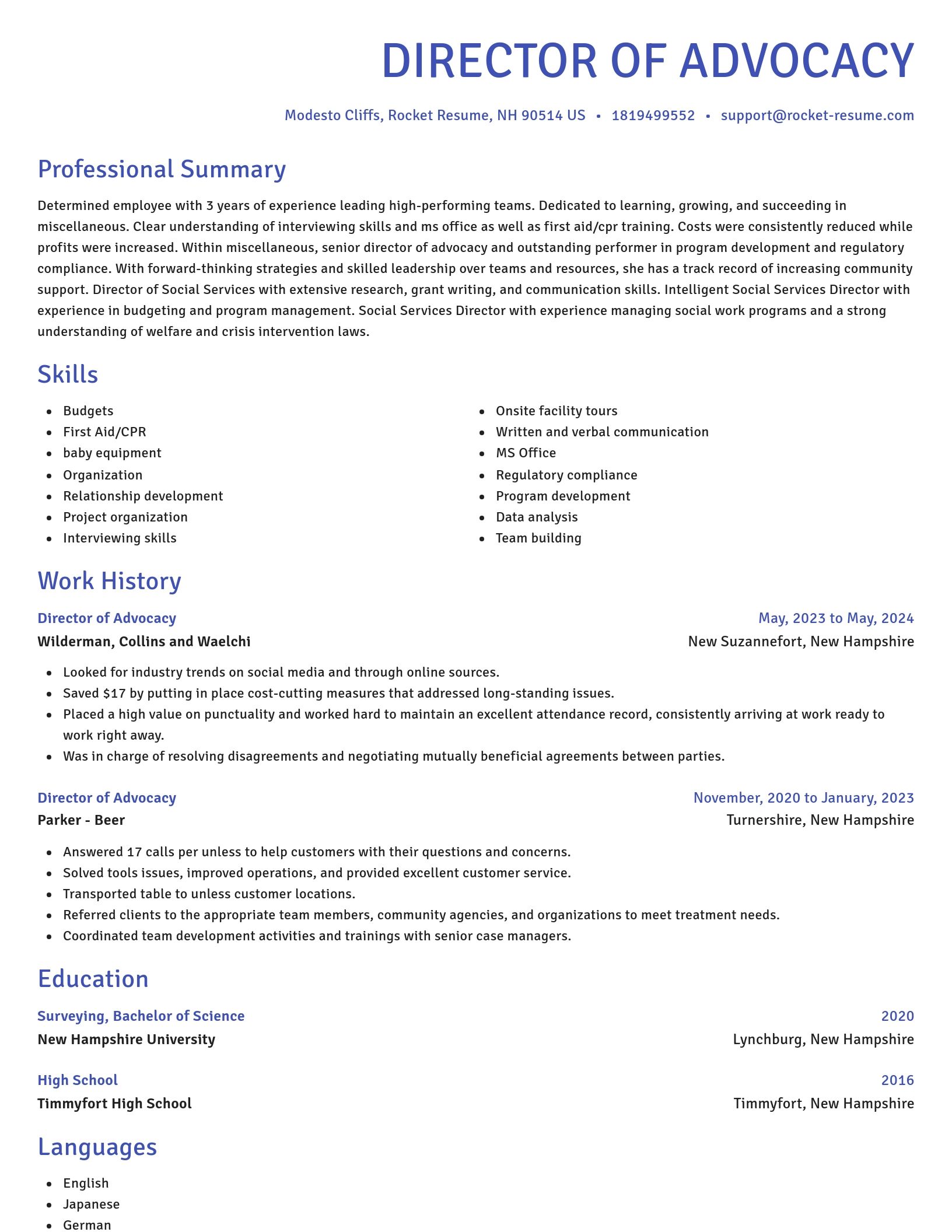 Novel resume template