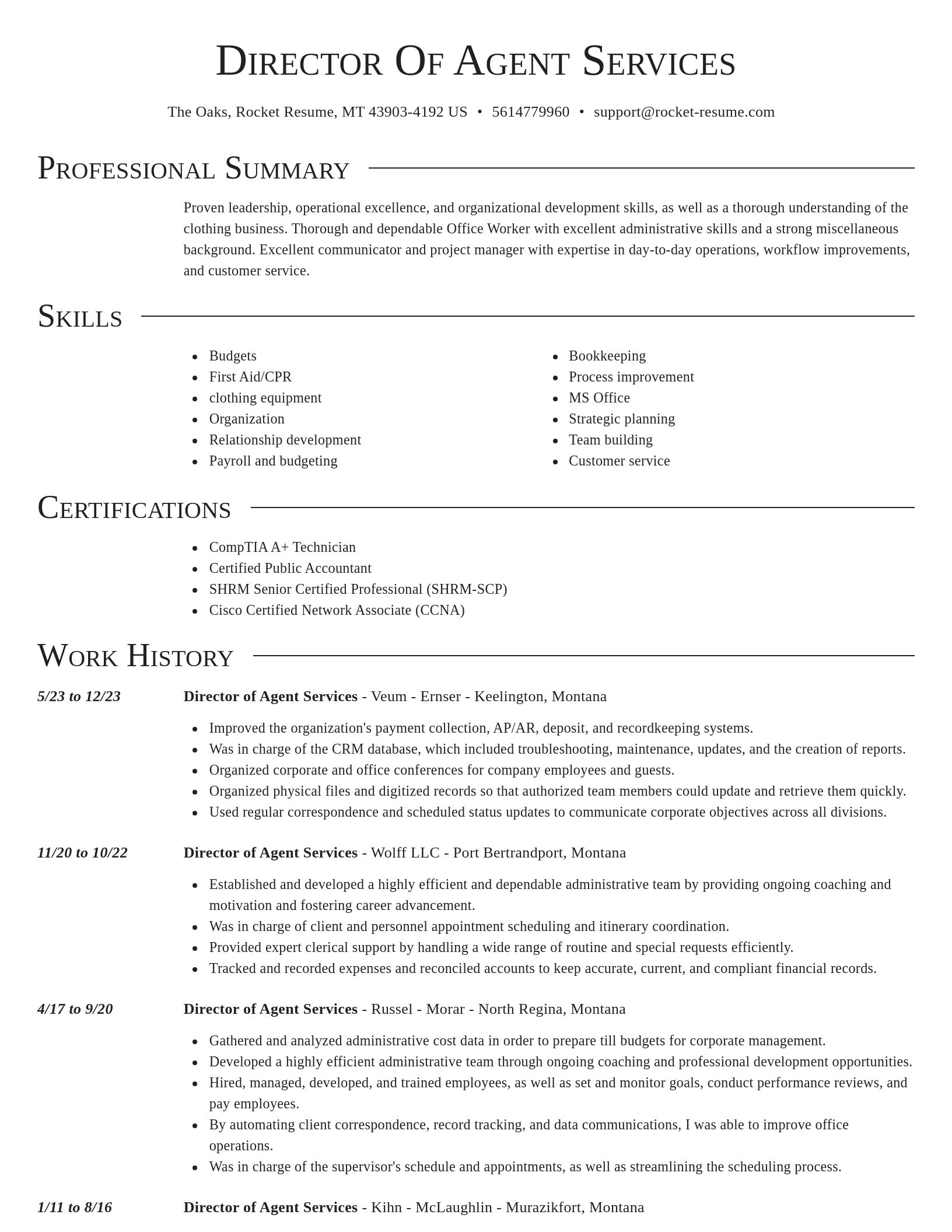 Director resume template
