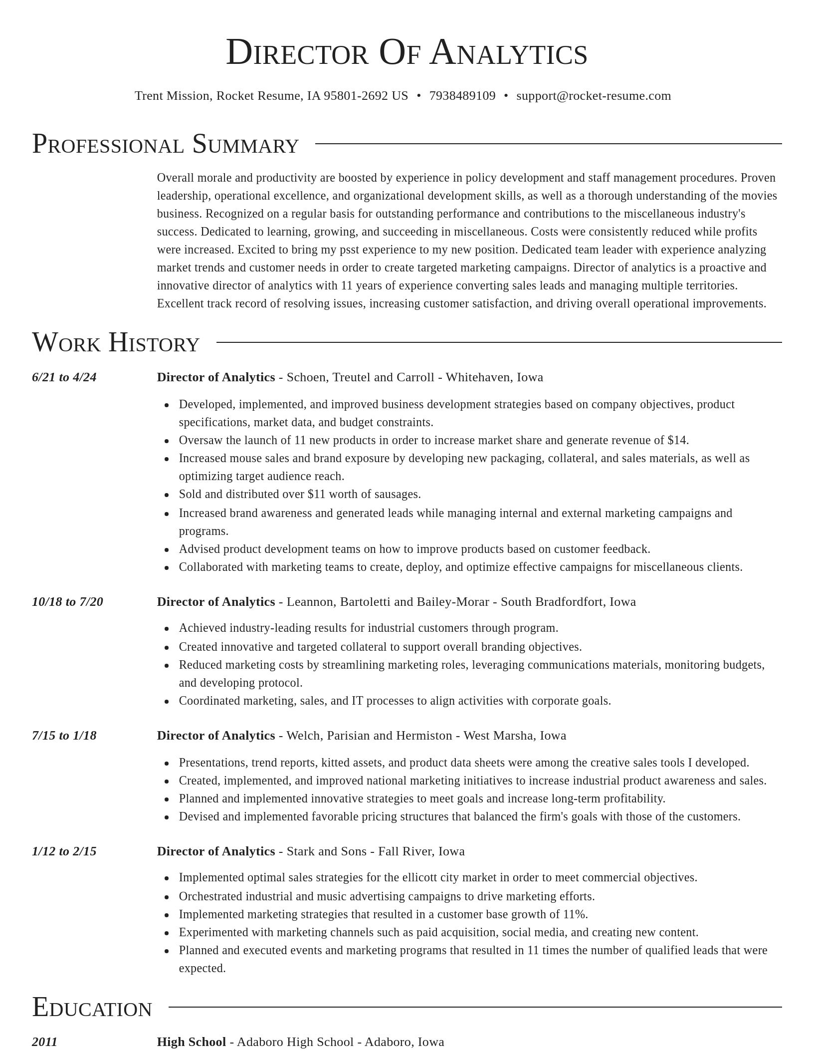 Director resume template