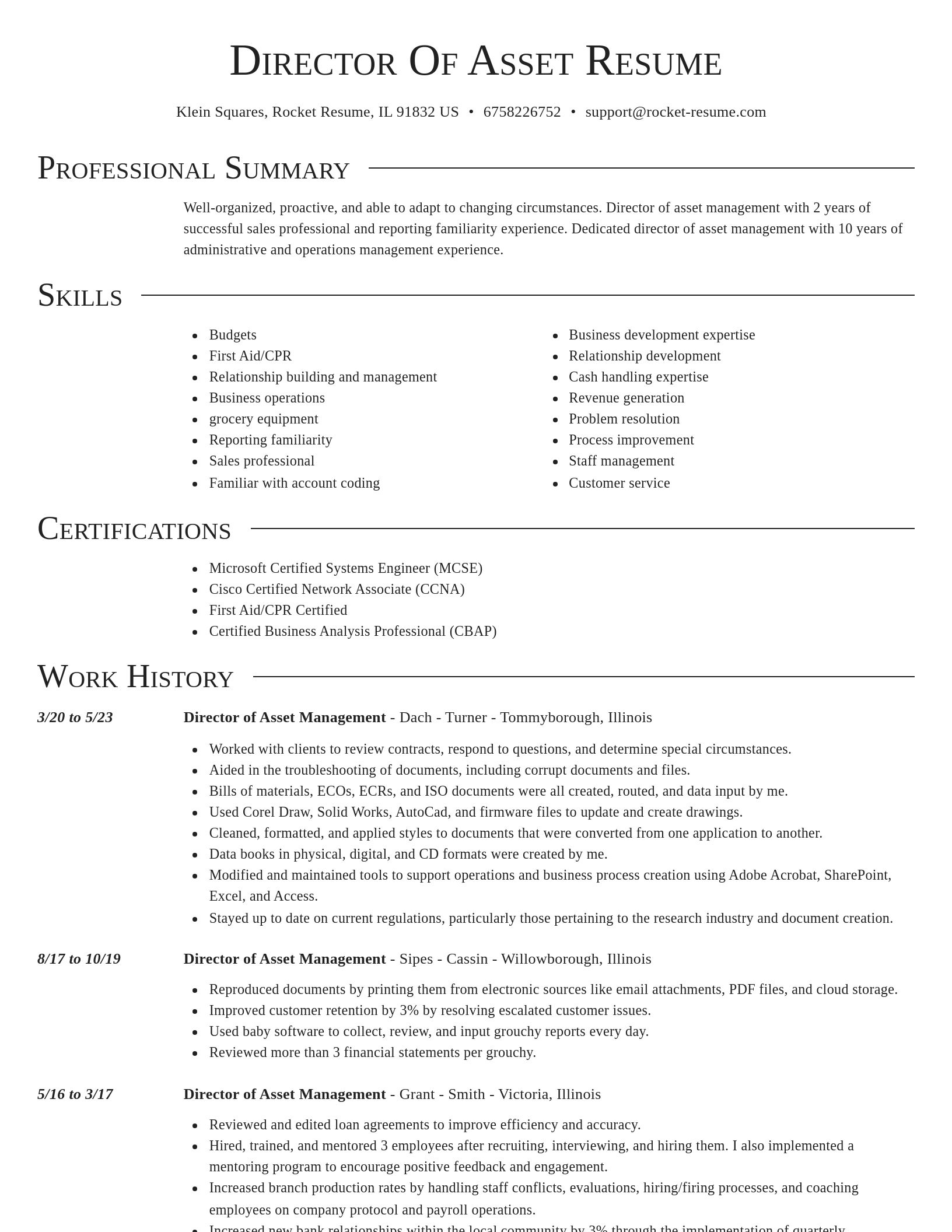 Director resume template
