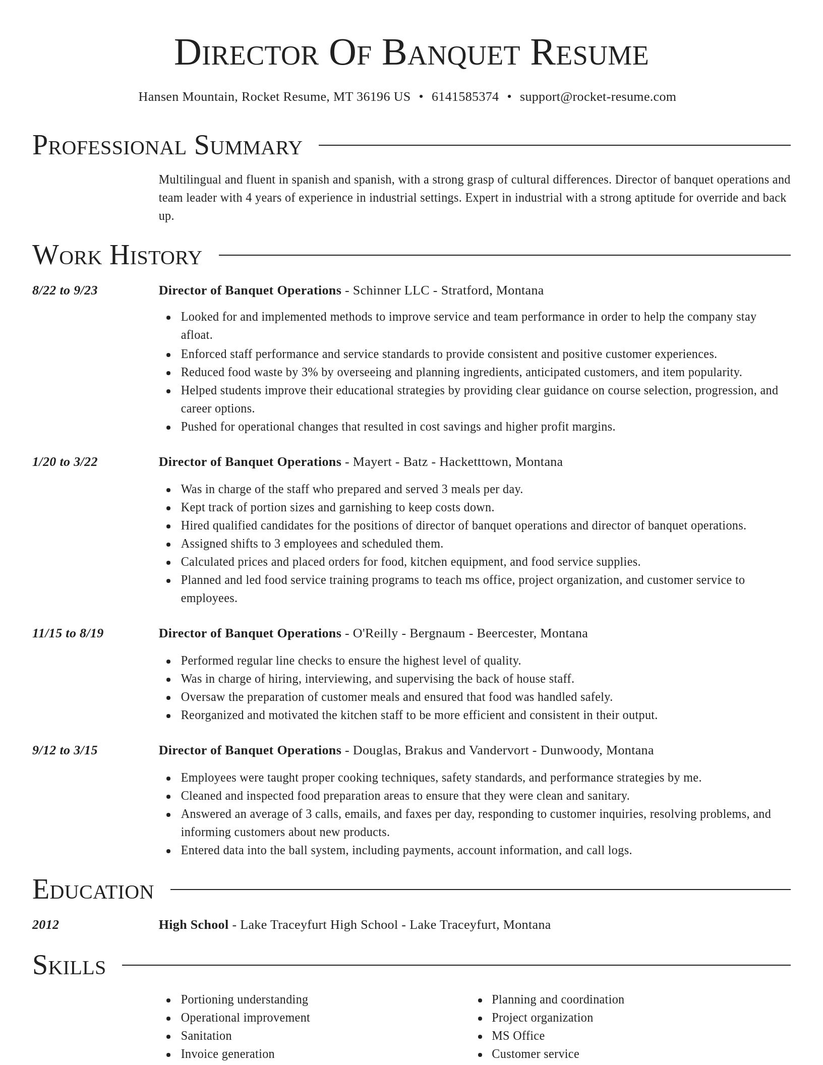 Director resume template