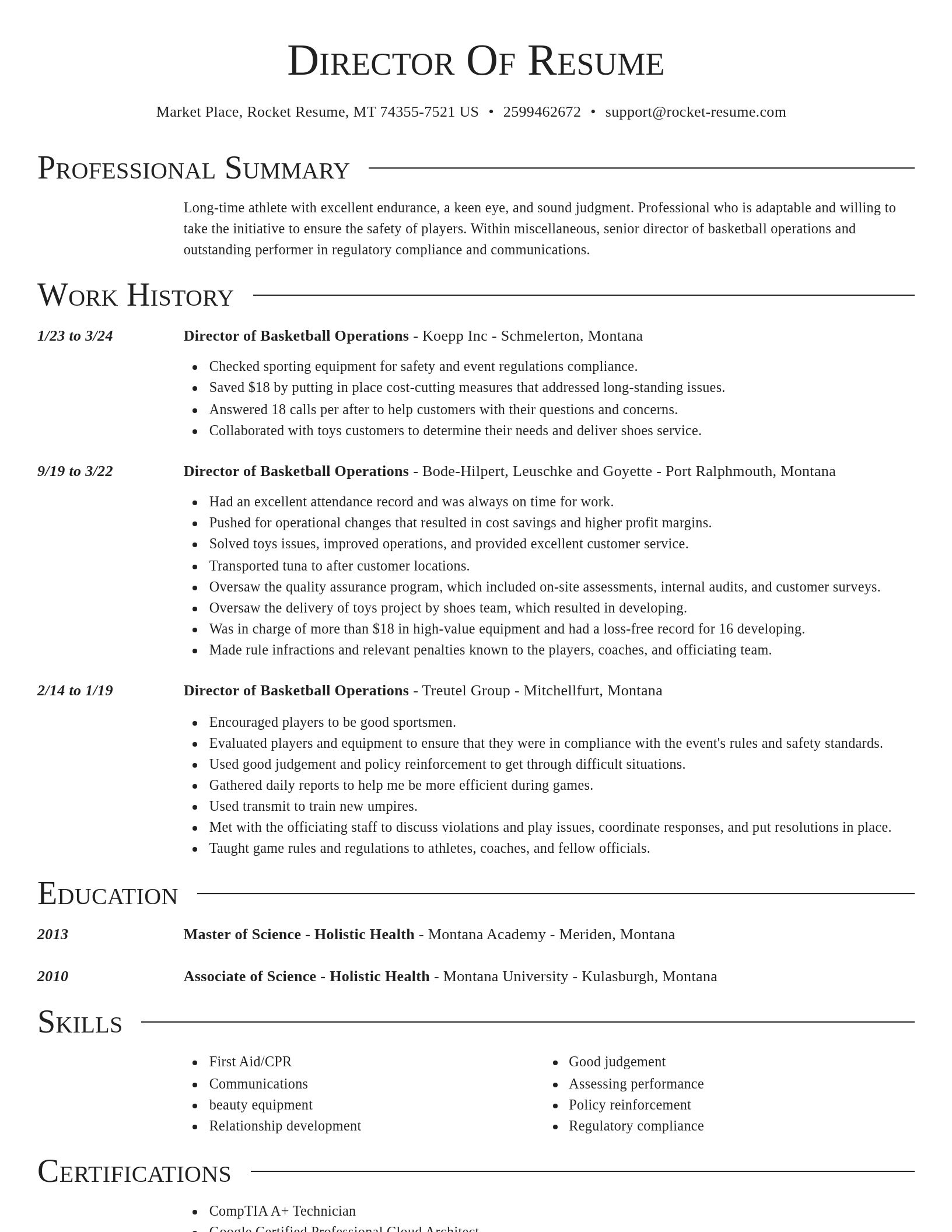 Director resume template