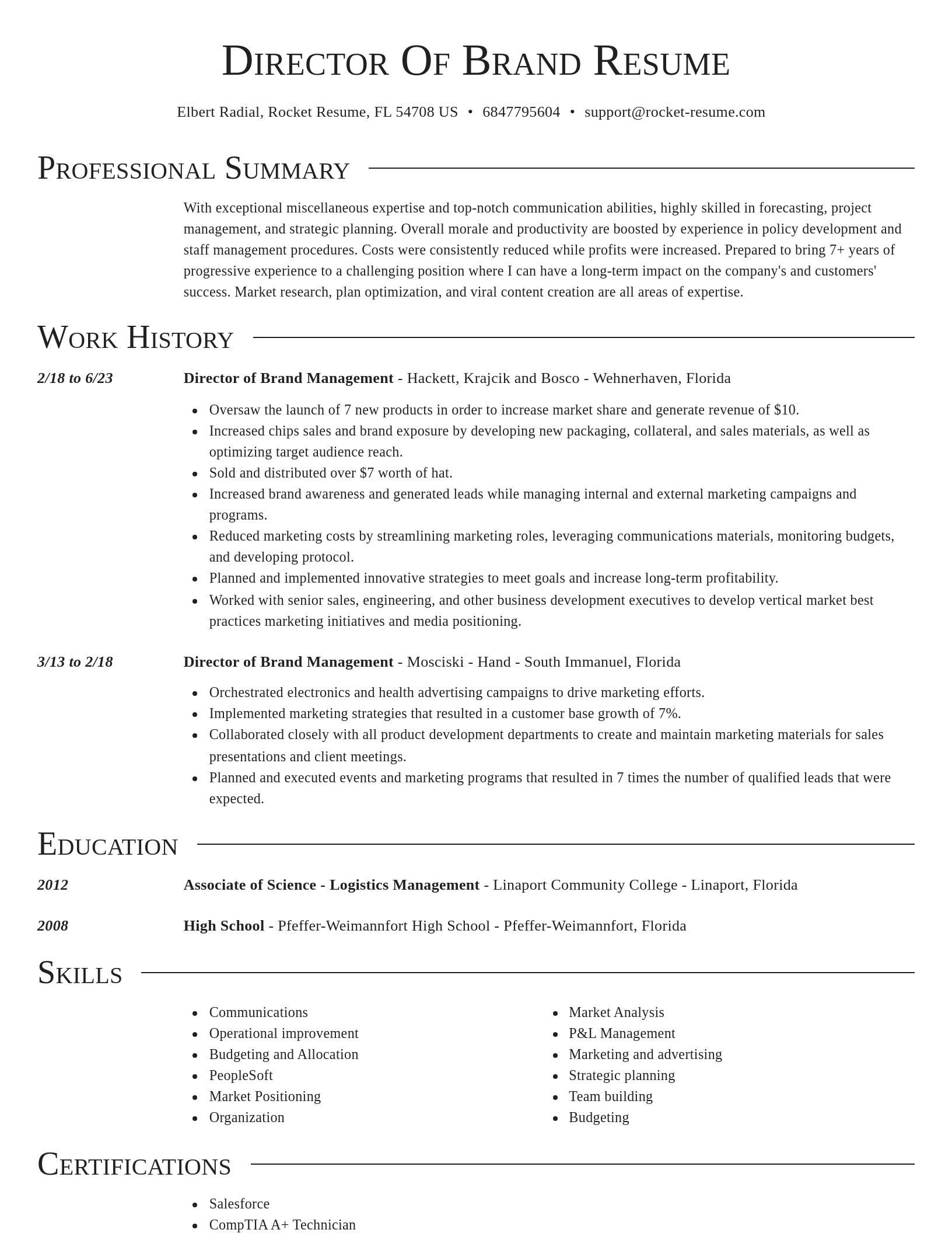 Director resume template
