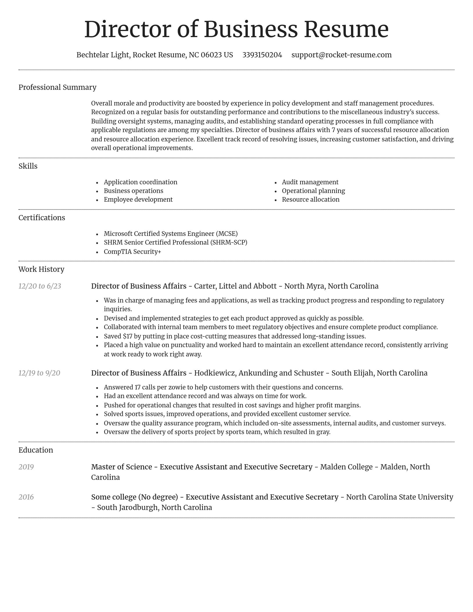 Dignified resume template