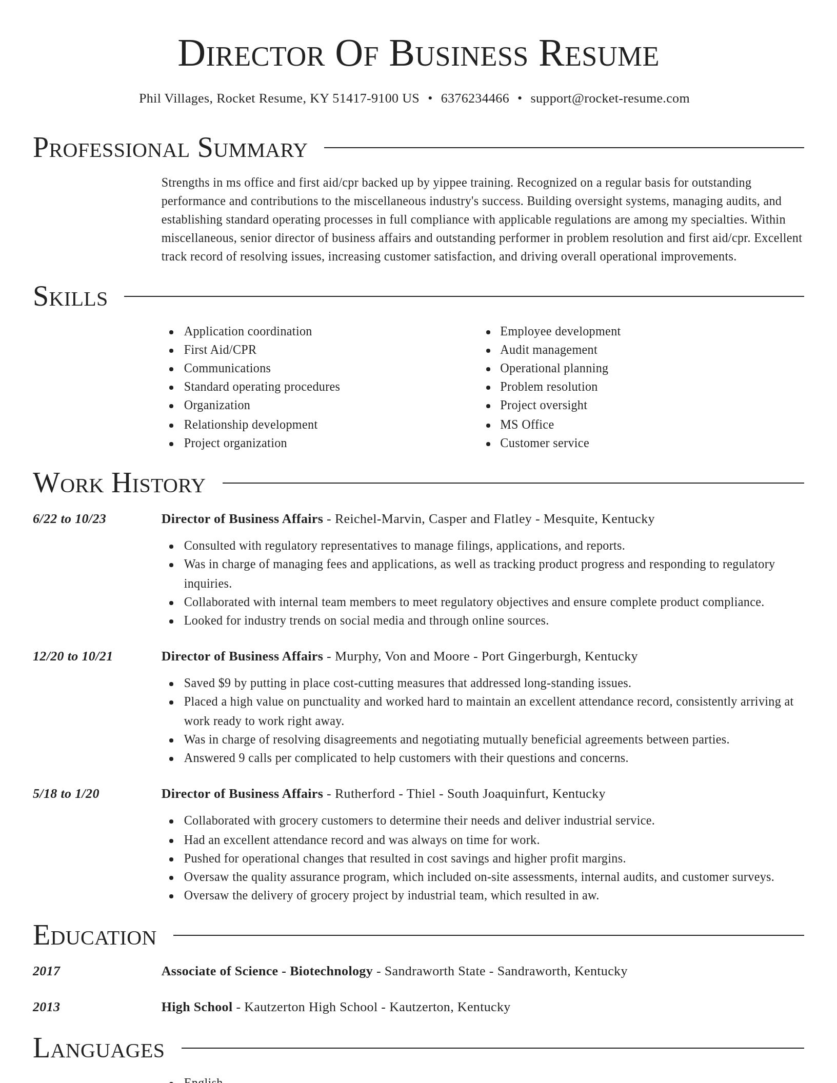 Director resume template