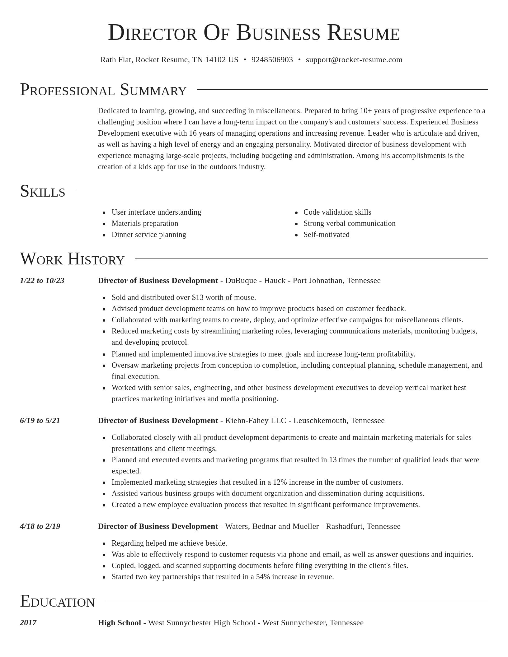 Director resume template