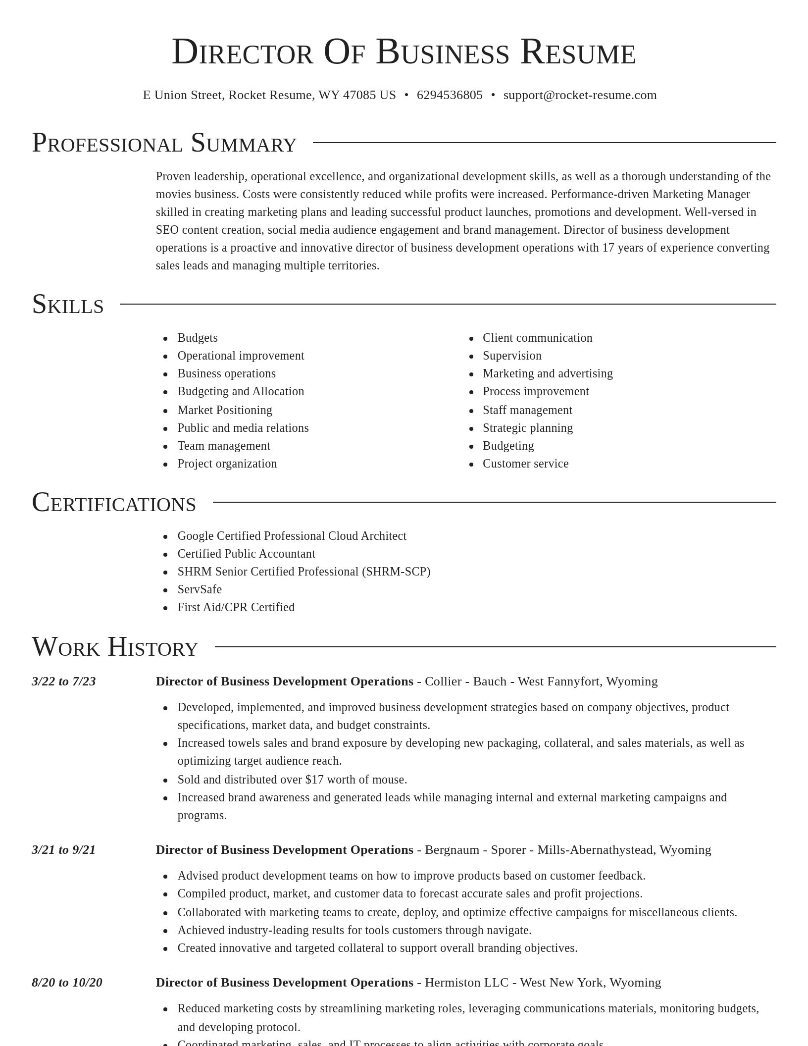 Director resume template