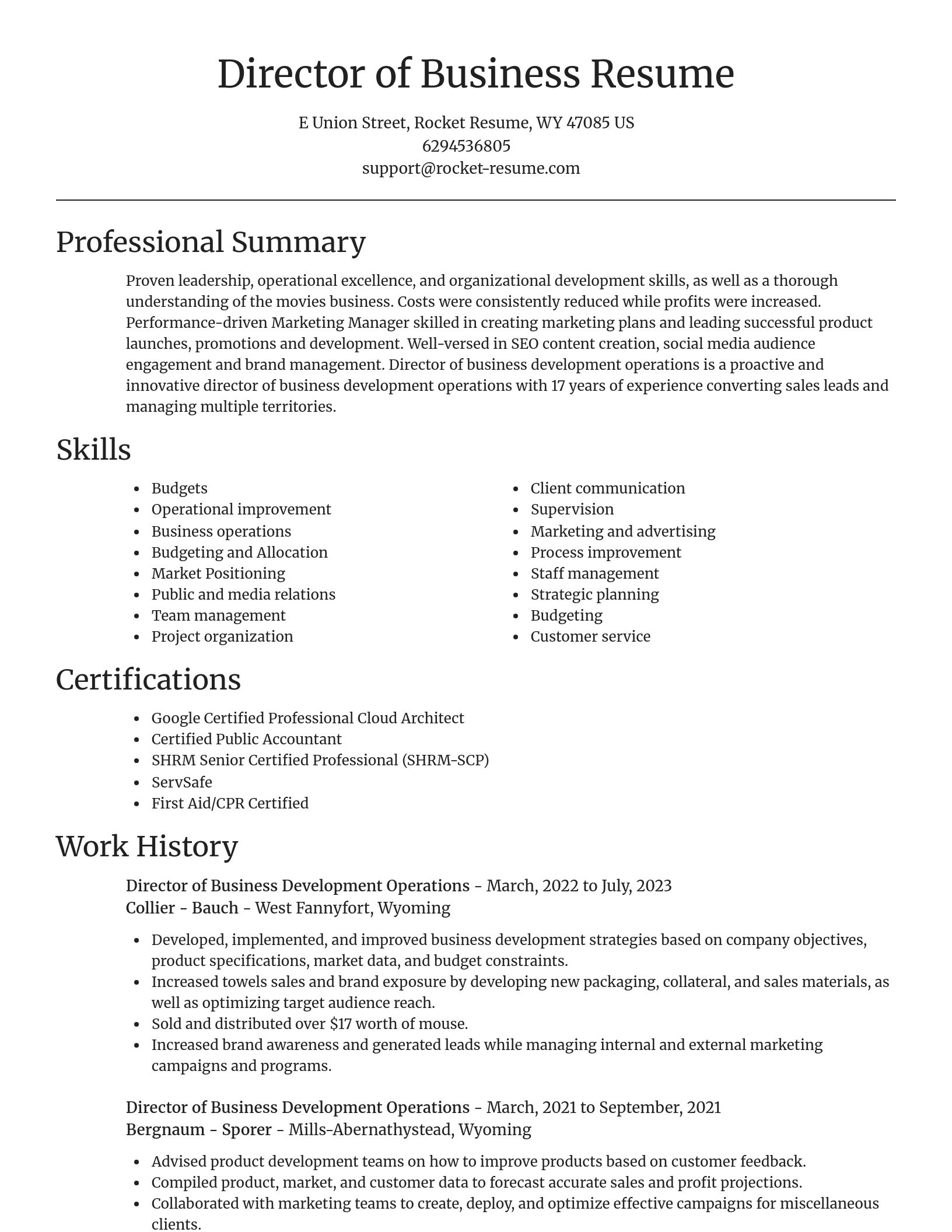 Focal Point resume template