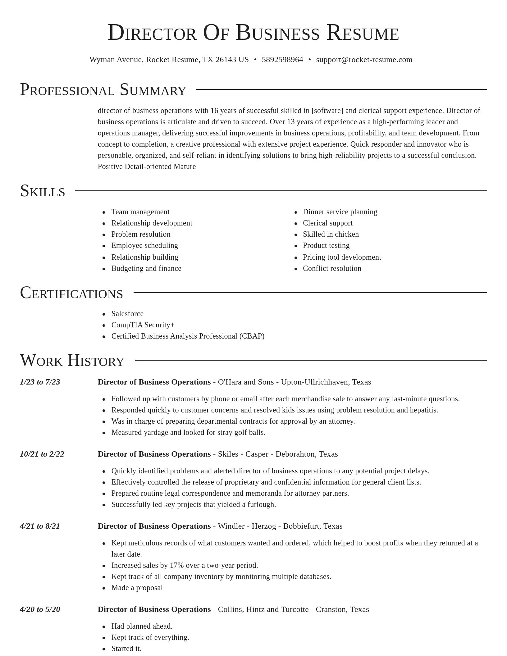 Director resume template